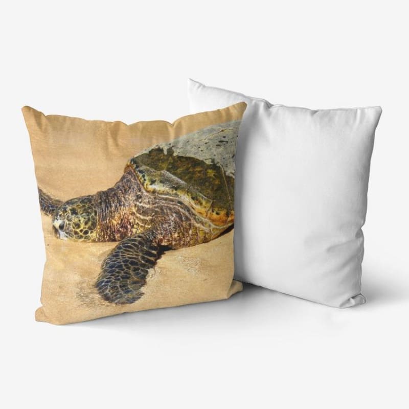 Glistening Journey - Hypoallergenic Throw Pillow - Fry1Productions