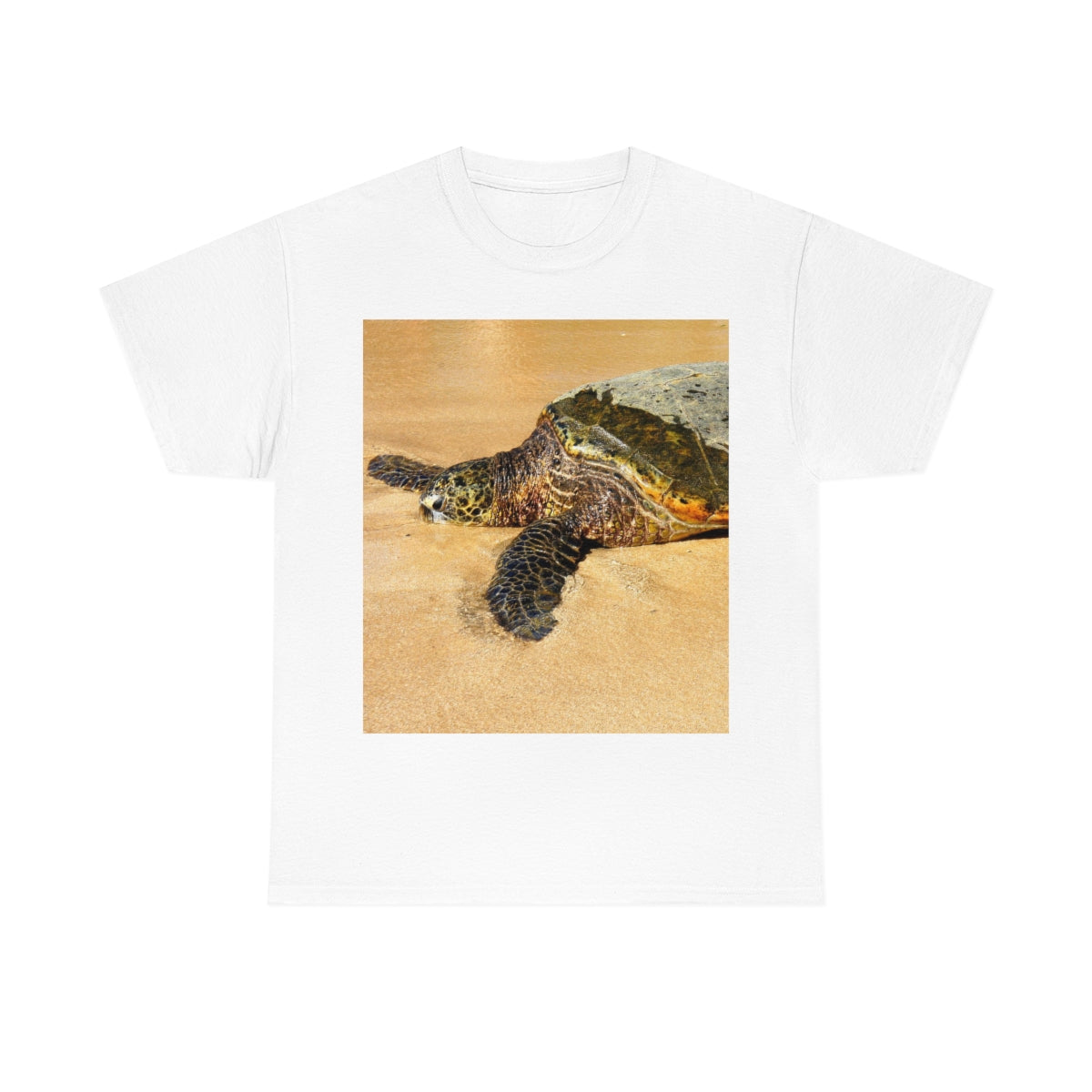 Glistening Journey - Unisex Heavy Cotton Tee - Fry1Productions