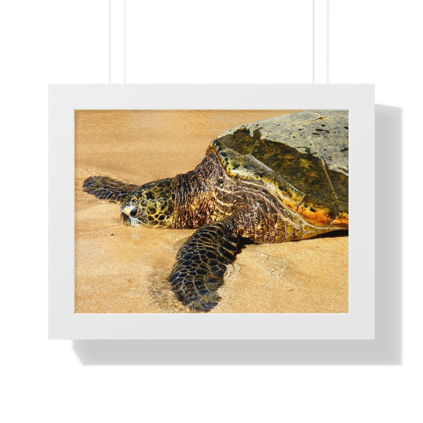 Glistening Journey - Framed Horizontal Poster - Fry1Productions