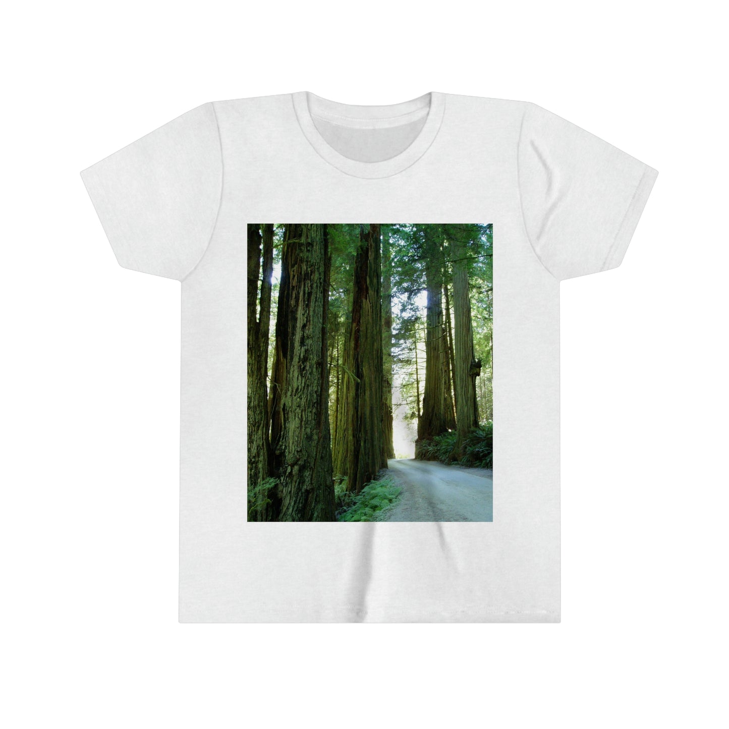 Wandering Ferns and Giants - Youth Short Sleeve Tee - Fry1Productions