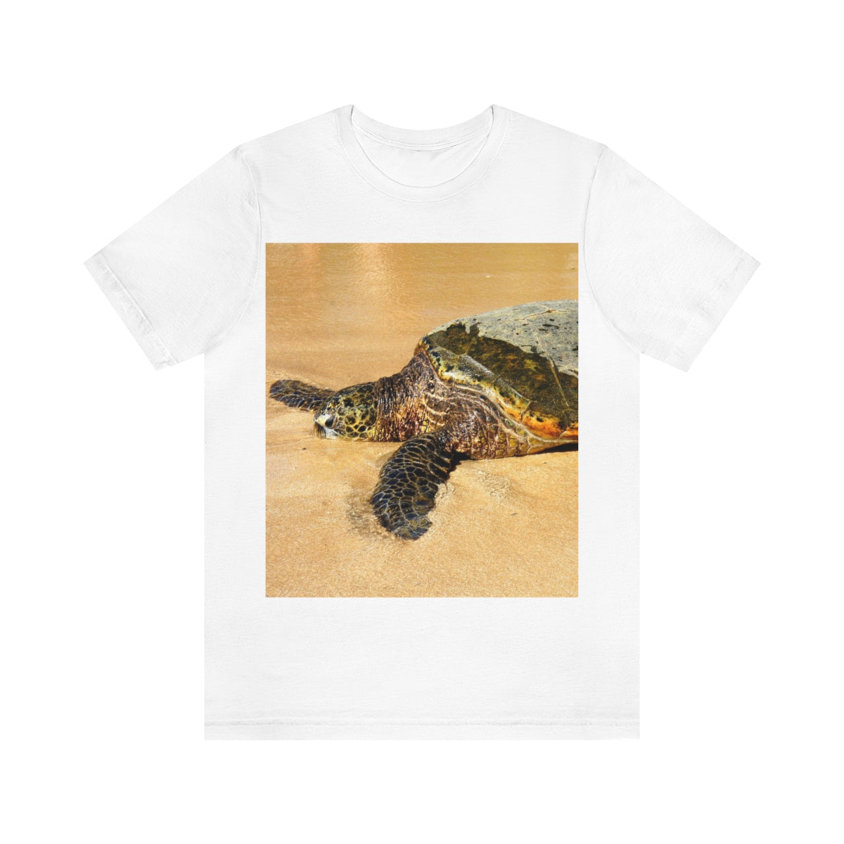 Glistening Journey - Unisex Jersey Short Sleeve T-Shirt - Fry1Productions