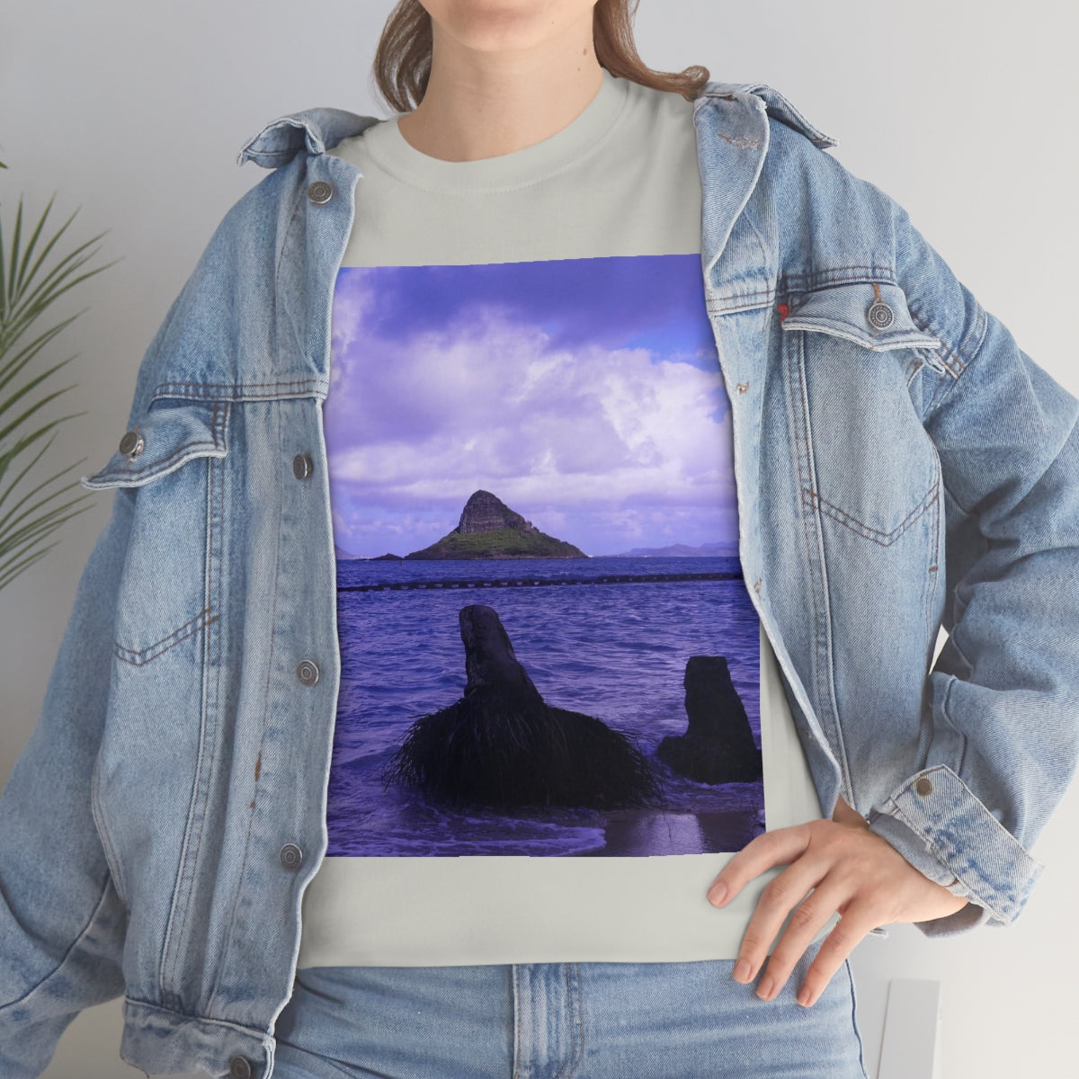 Wade To Chinaman's Hat - Unisex Heavy Cotton Tee - Fry1Productions