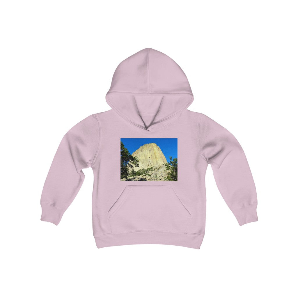 "Reaching Heaven" - Youth Heavy Blend Hooded Sweatshirt - Fry1Productions