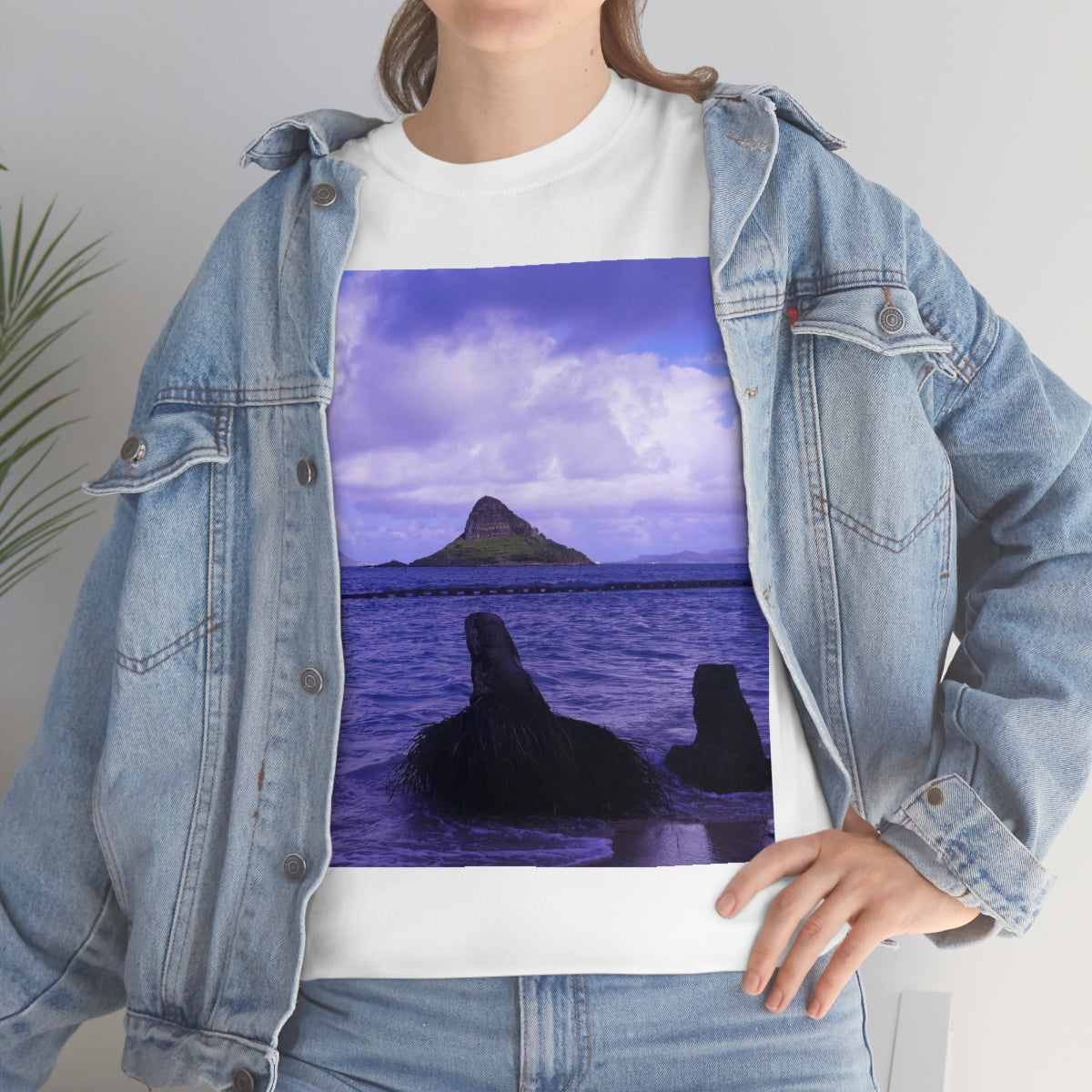 Wade To Chinaman's Hat - Unisex Heavy Cotton Tee - Fry1Productions