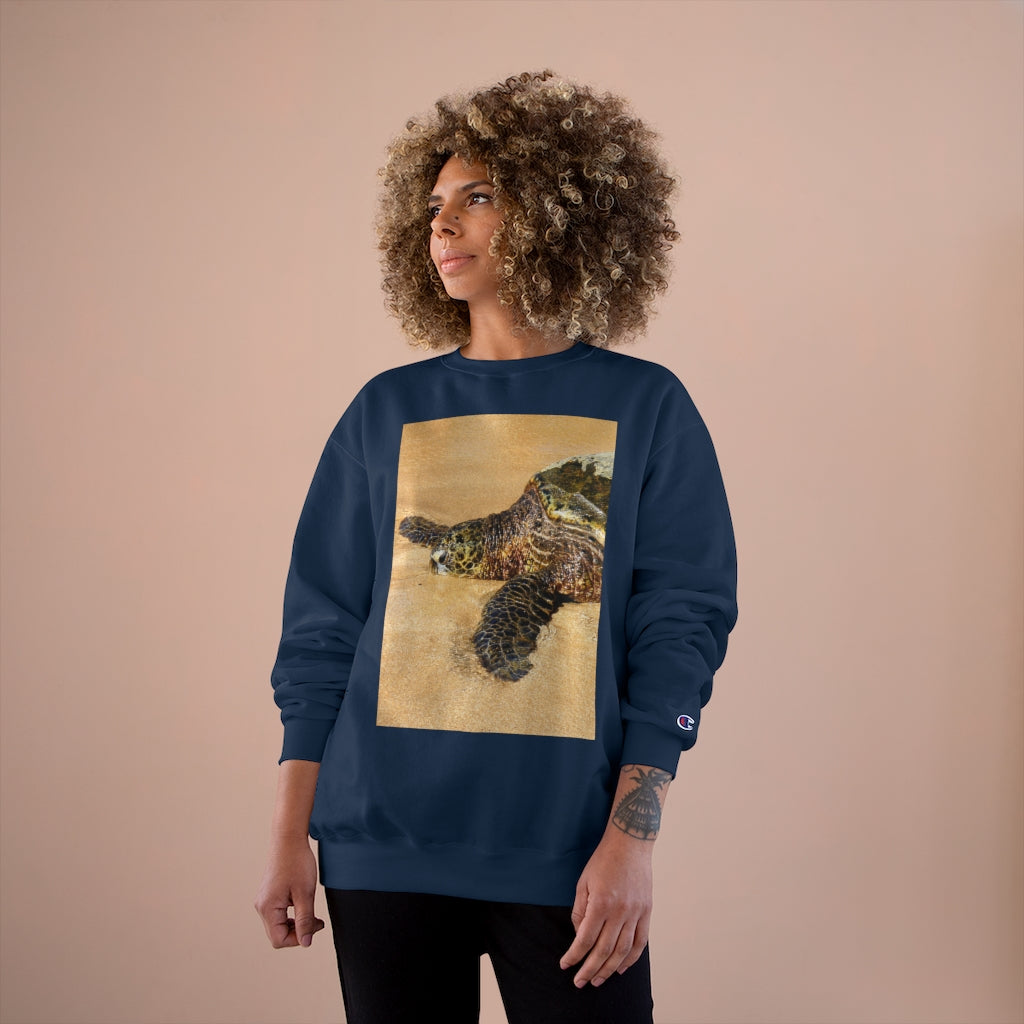 Glistening Journey - Champion Sweatshirt - Fry1Productions
