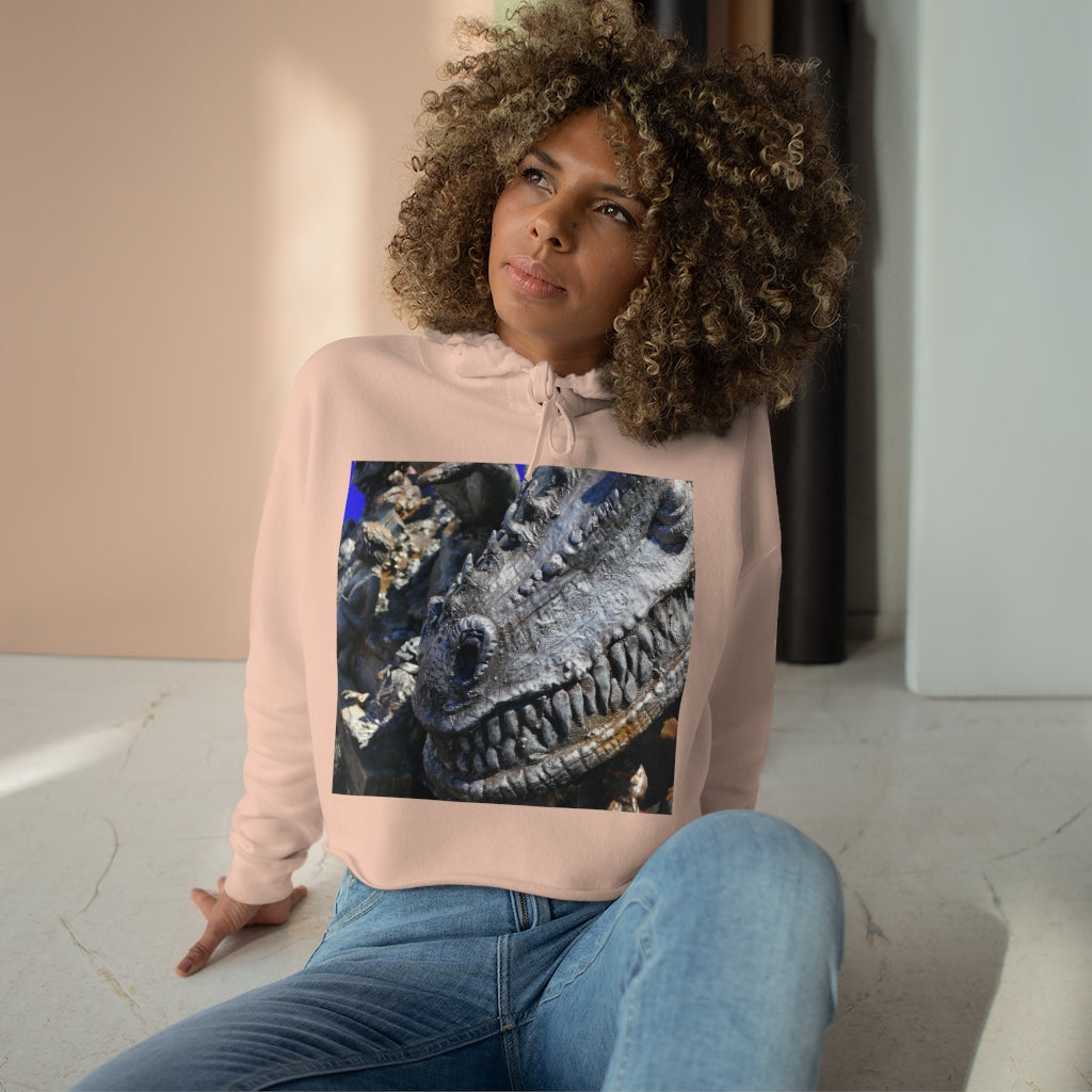 Delectable Vision - Crop Hoodie - Fry1Productions