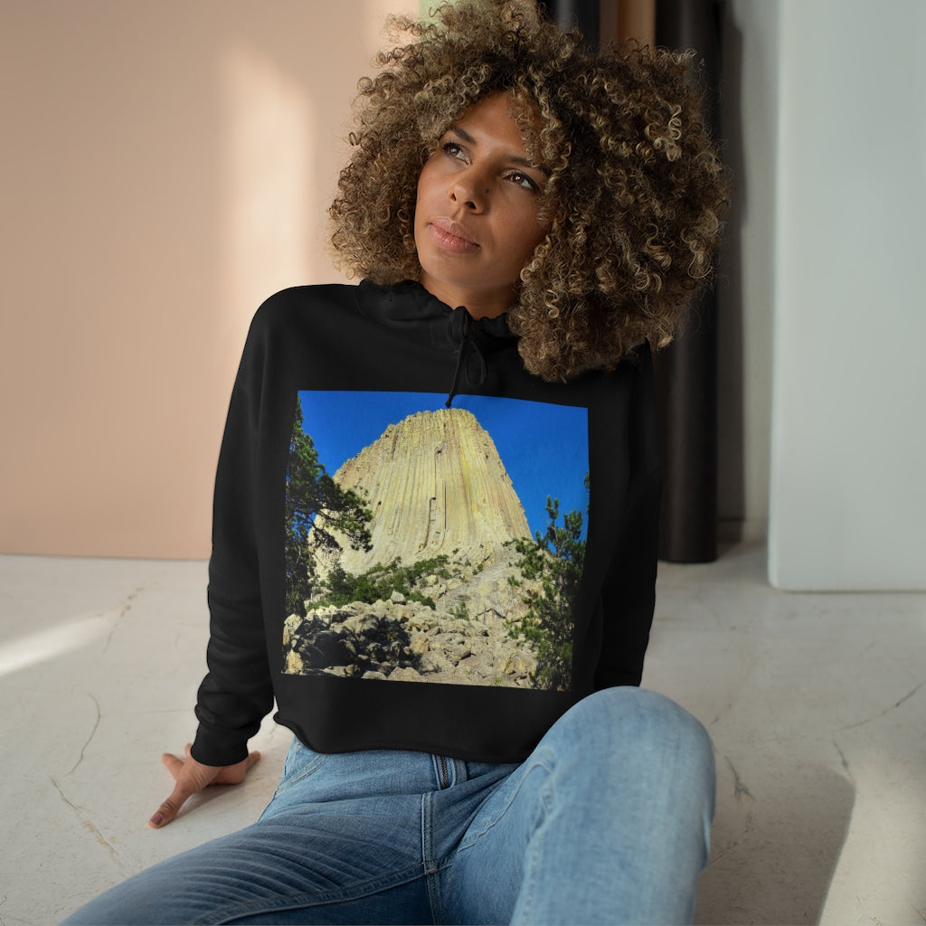 Reaching Heaven - Crop Hoodie - Fry1Productions