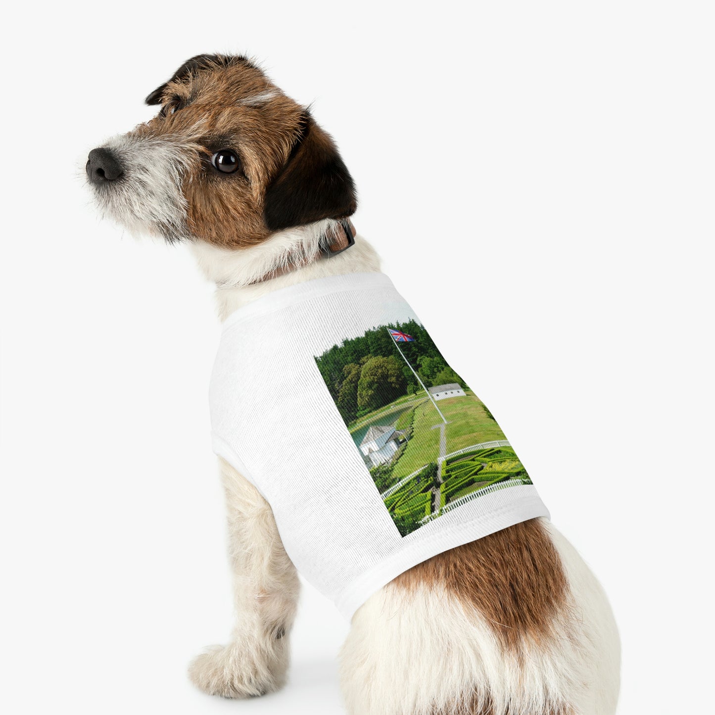 Magnificent Grandiose Views - Pet Tank Top - Fry1Productions