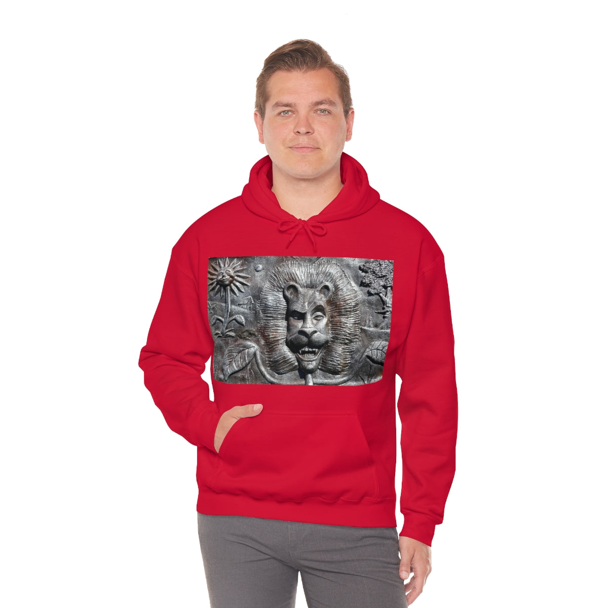 Lion's Friends Forever - Unisex Heavy Blend Hooded Sweatshirt - Fry1Productions