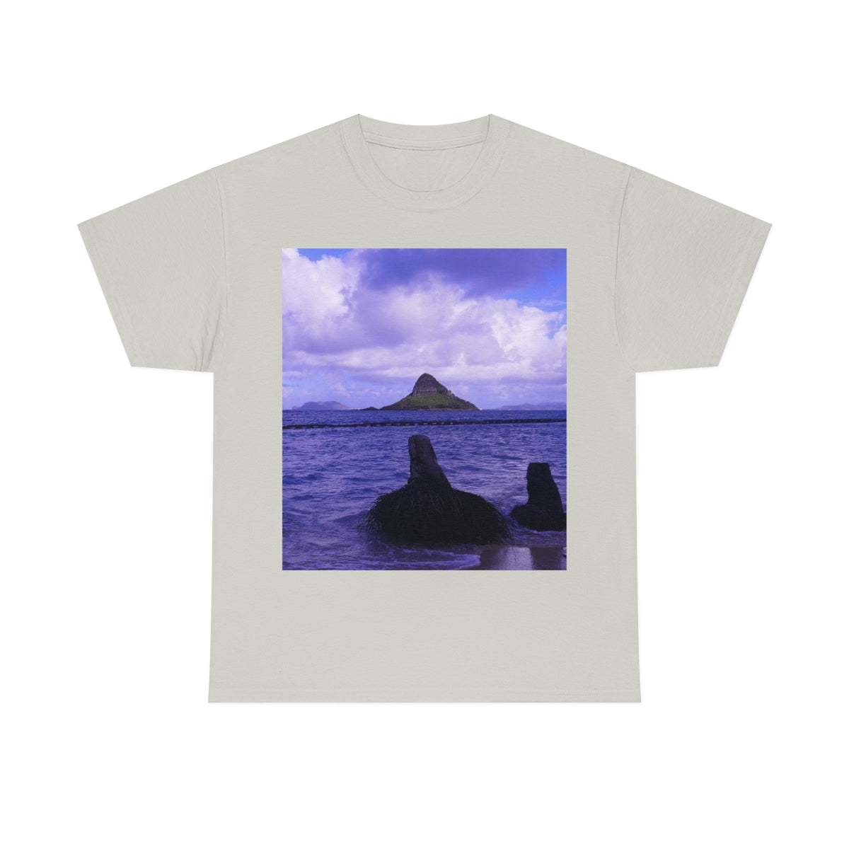 Wade To Chinaman's Hat - Unisex Heavy Cotton Tee - Fry1Productions