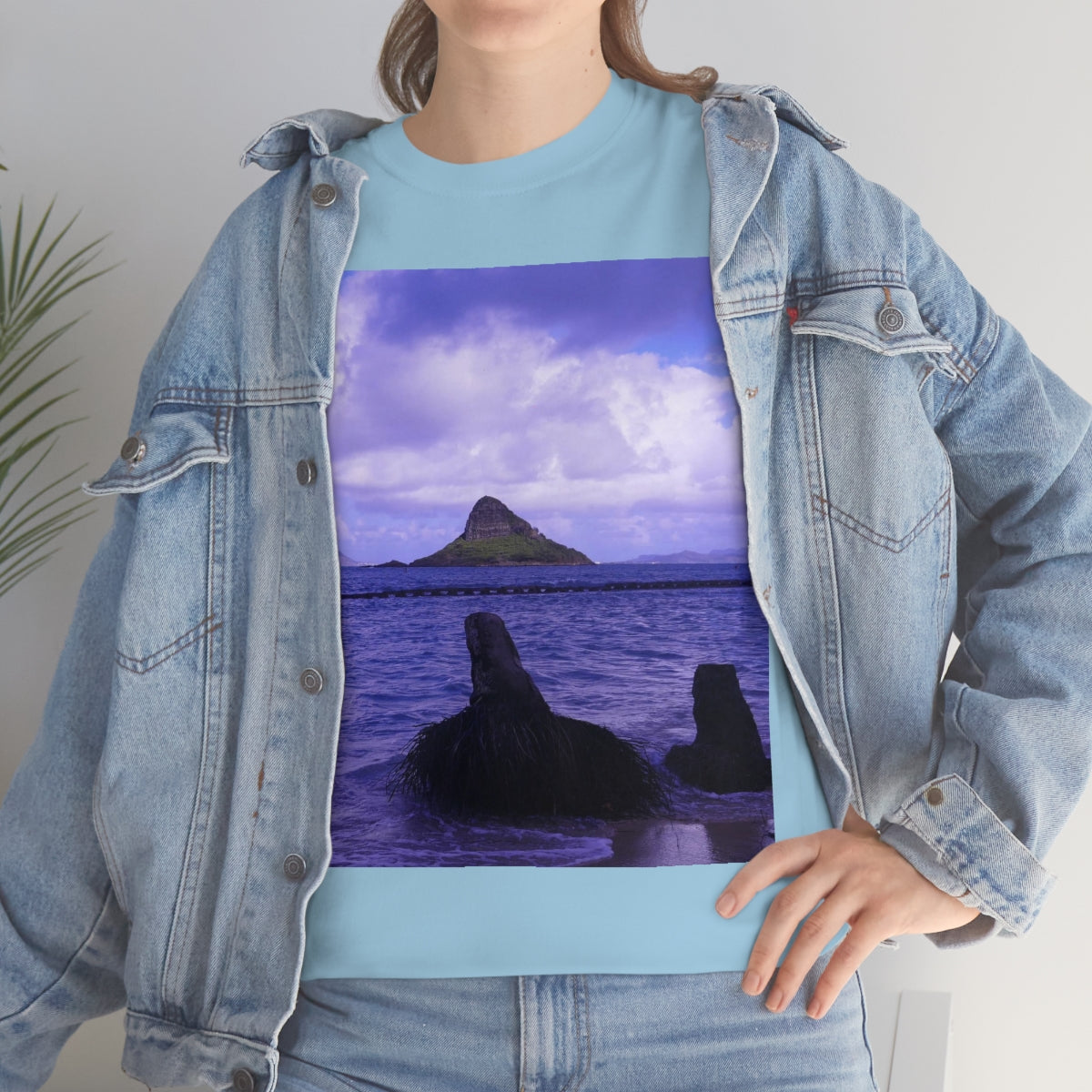 Wade To Chinaman's Hat - Unisex Heavy Cotton Tee - Fry1Productions