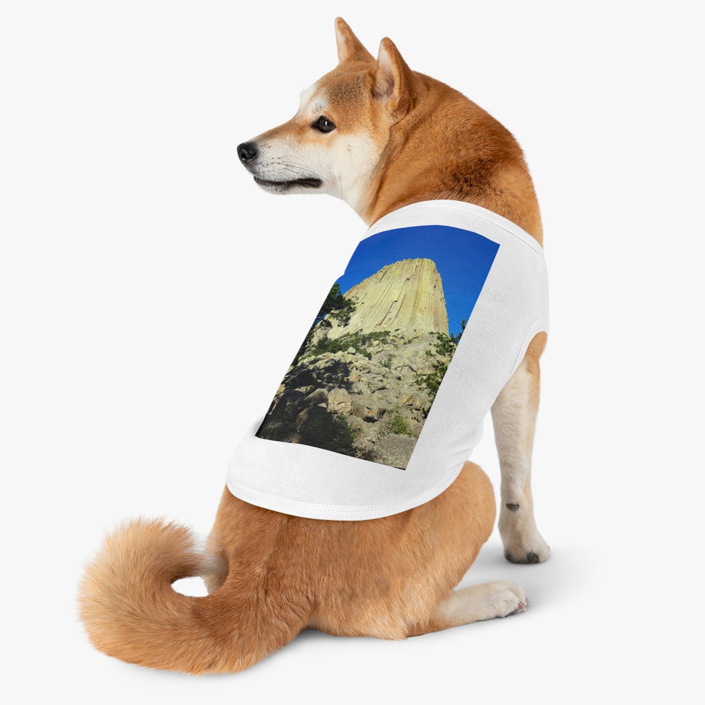 Reaching Heaven - Pet Tank Top - Fry1Productions