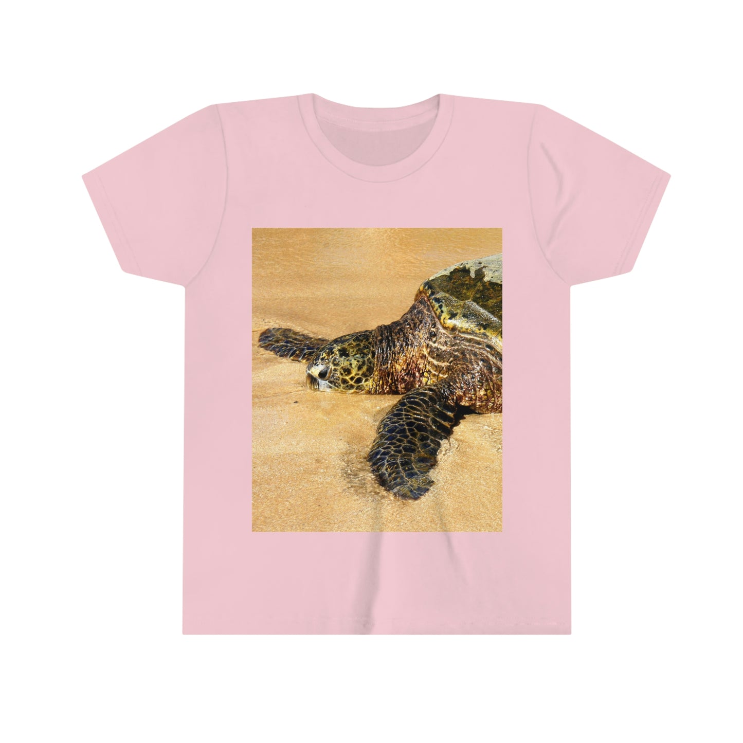 Glistening Journey - Youth Short Sleeve Tee - Fry1Productions