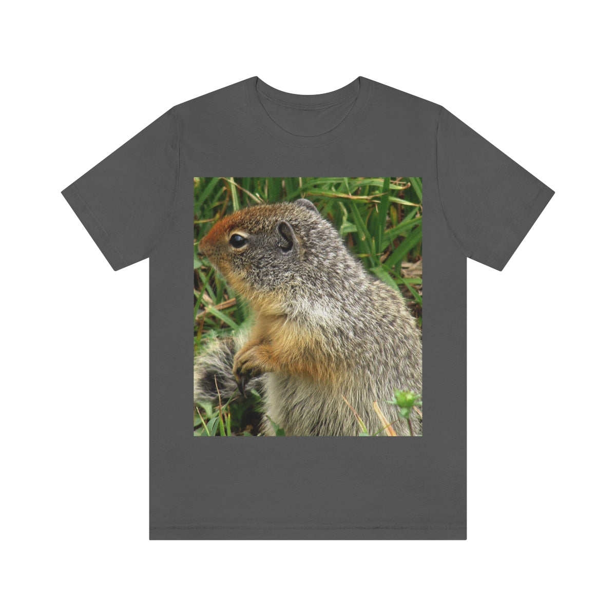 Inquisitive Stare - Unisex Jersey Short Sleeve T-Shirt - Fry1Productions
