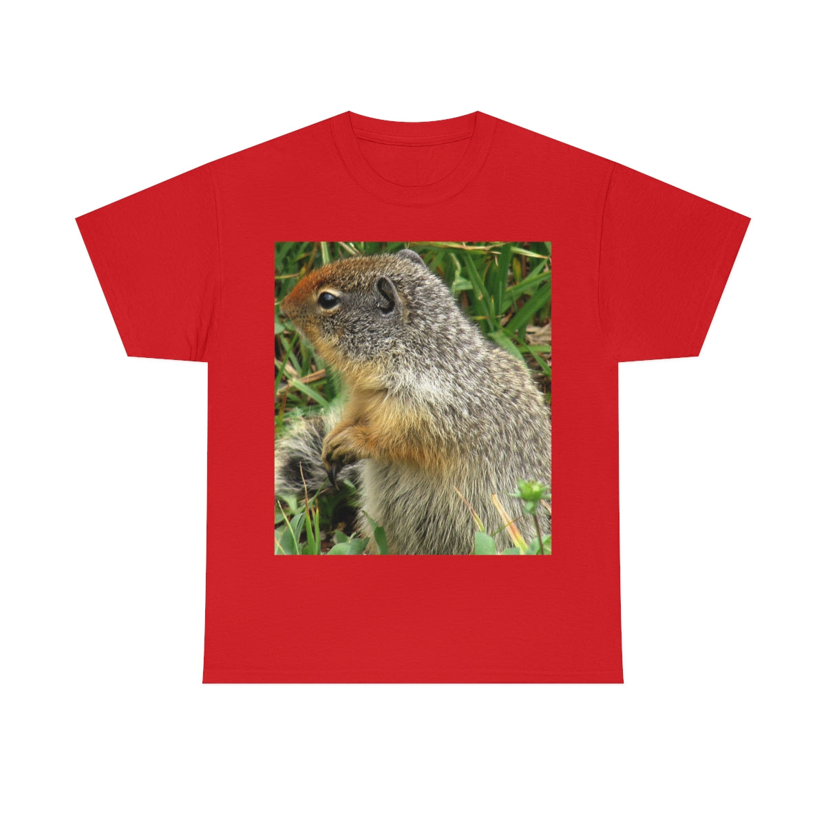 Inquisitive Stare - Unisex Heavy Cotton Tee - Fry1Productions