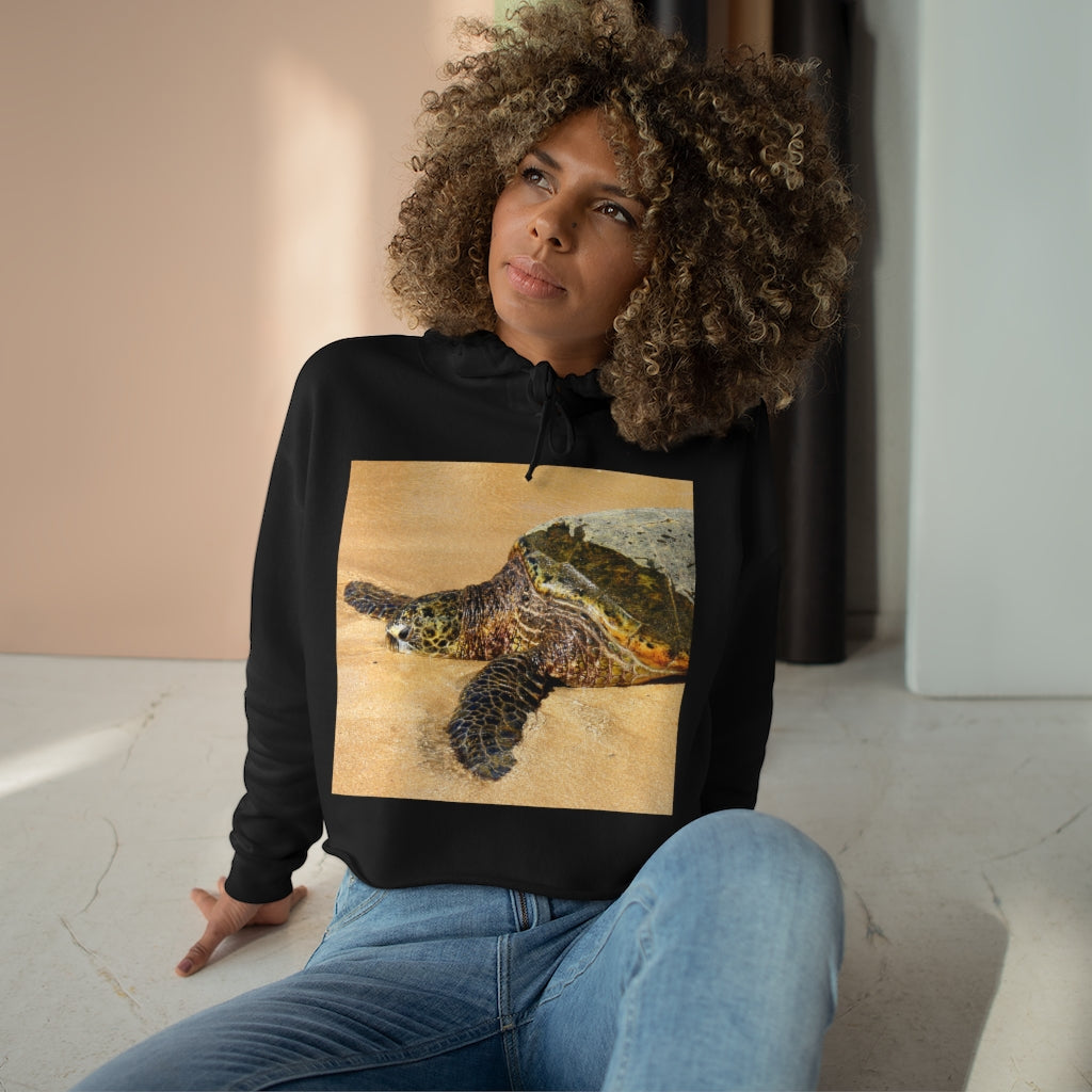 Glistening Journey - Crop Hoodie - Fry1Productions