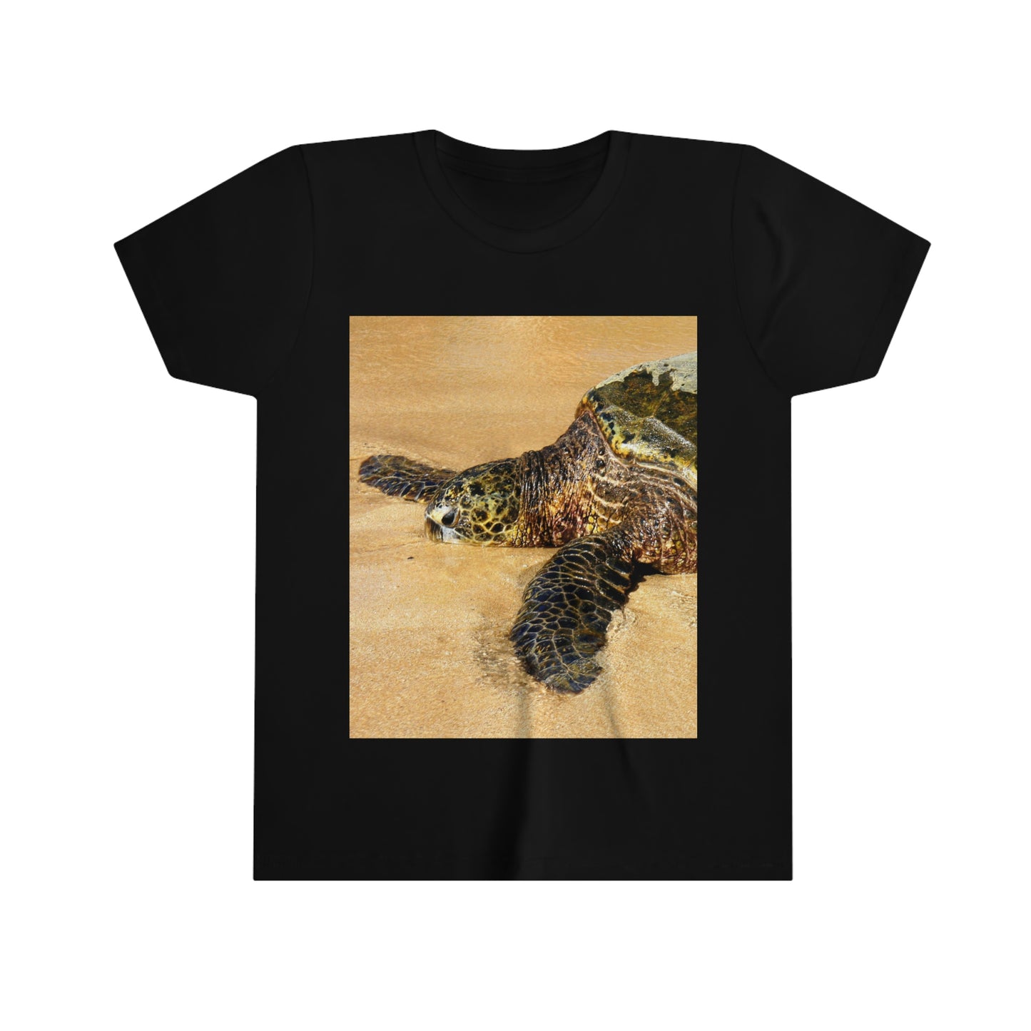 Glistening Journey - Youth Short Sleeve Tee - Fry1Productions