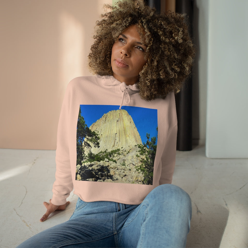 Reaching Heaven - Crop Hoodie - Fry1Productions