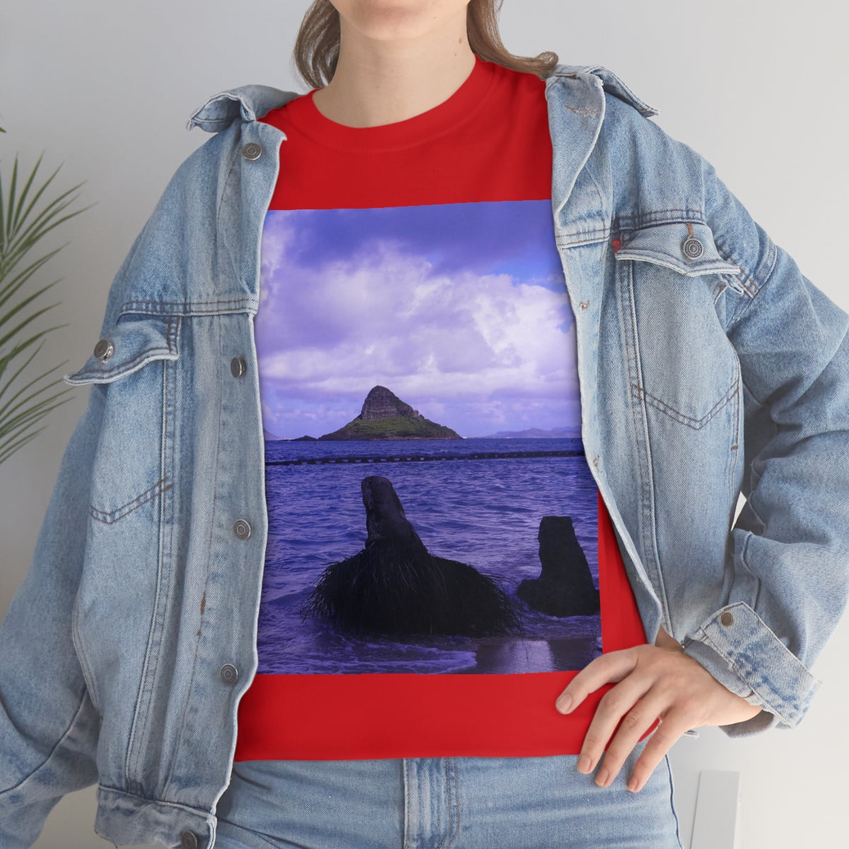 Wade To Chinaman's Hat - Unisex Heavy Cotton Tee - Fry1Productions