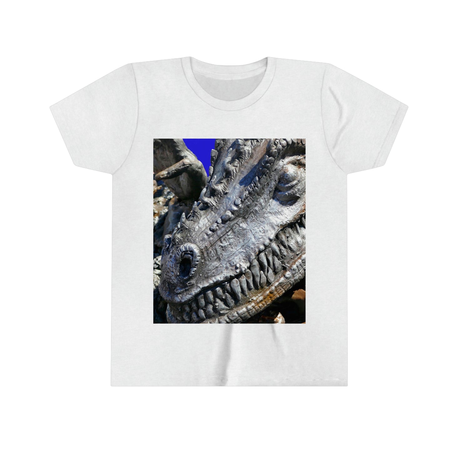 Delectable Vision - Youth Short Sleeve Tee - Fry1Productions