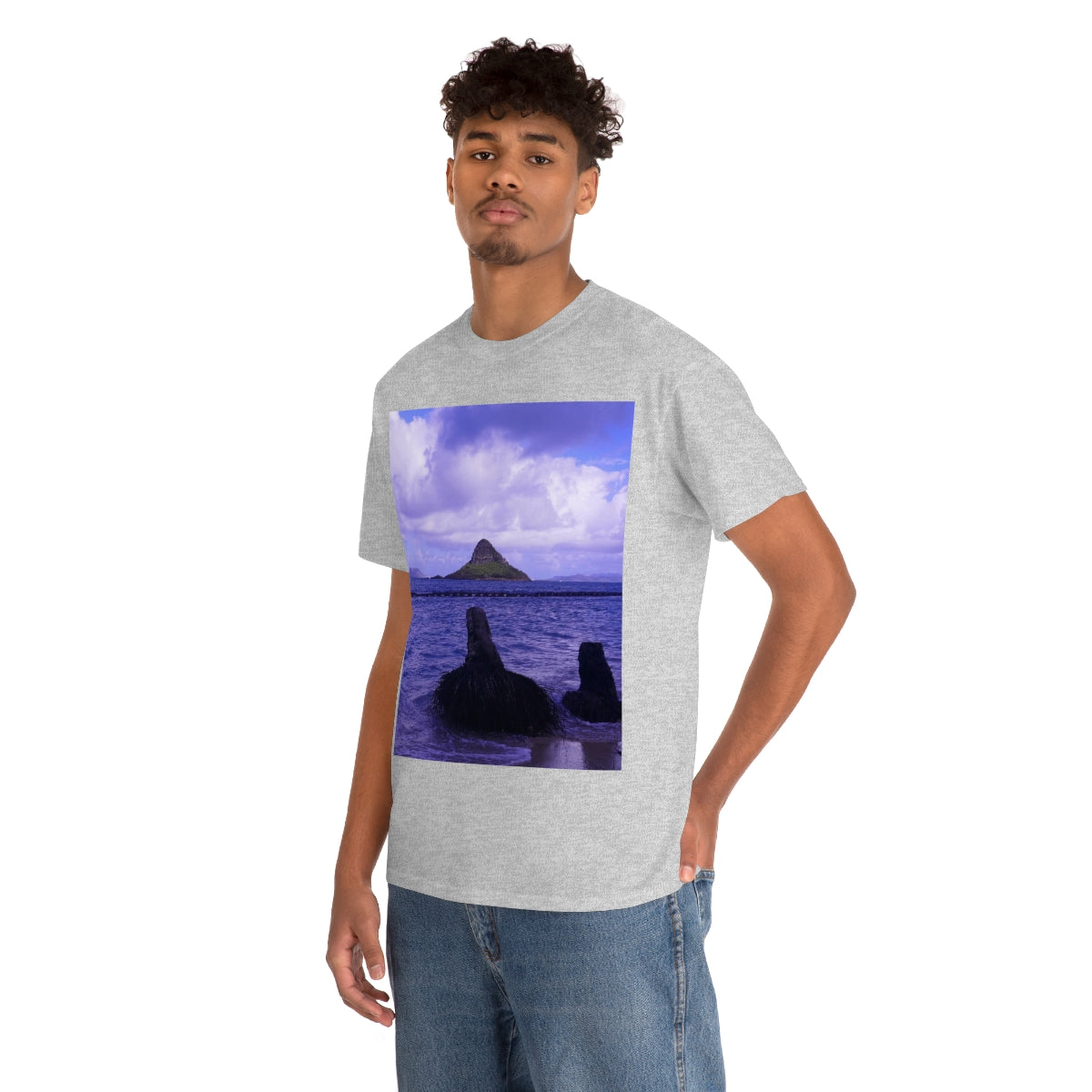 Wade To Chinaman's Hat - Unisex Heavy Cotton Tee - Fry1Productions