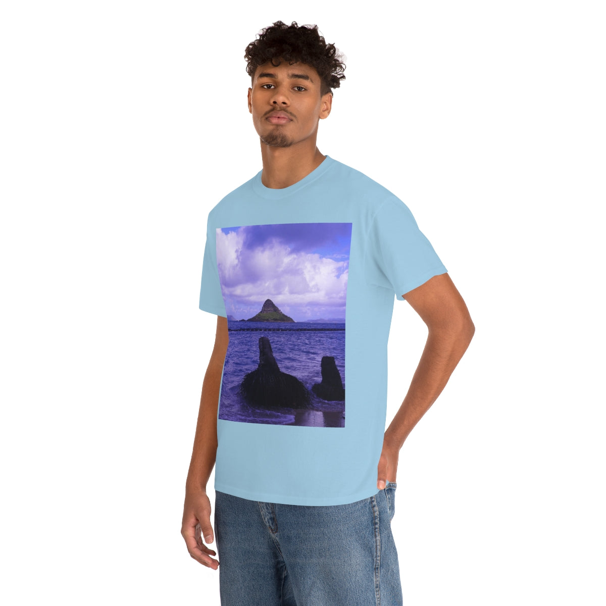 Wade To Chinaman's Hat - Unisex Heavy Cotton Tee - Fry1Productions