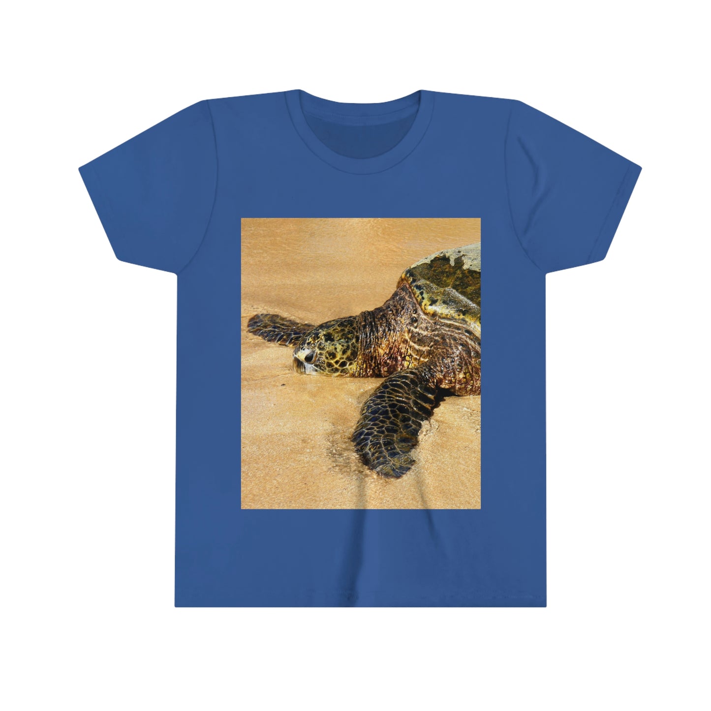 Glistening Journey - Youth Short Sleeve Tee - Fry1Productions