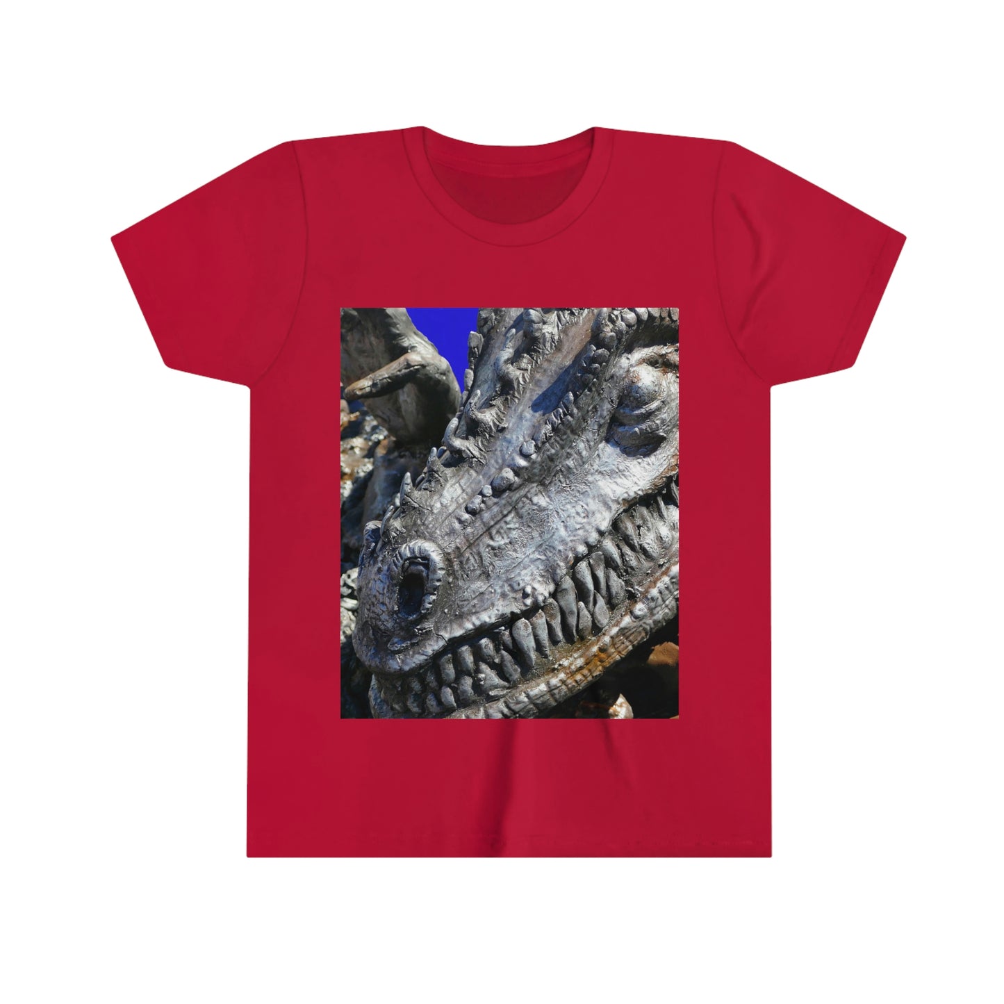 Delectable Vision - Youth Short Sleeve Tee - Fry1Productions