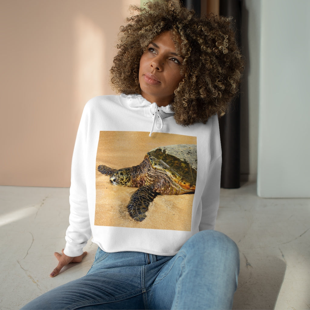 Glistening Journey - Crop Hoodie - Fry1Productions
