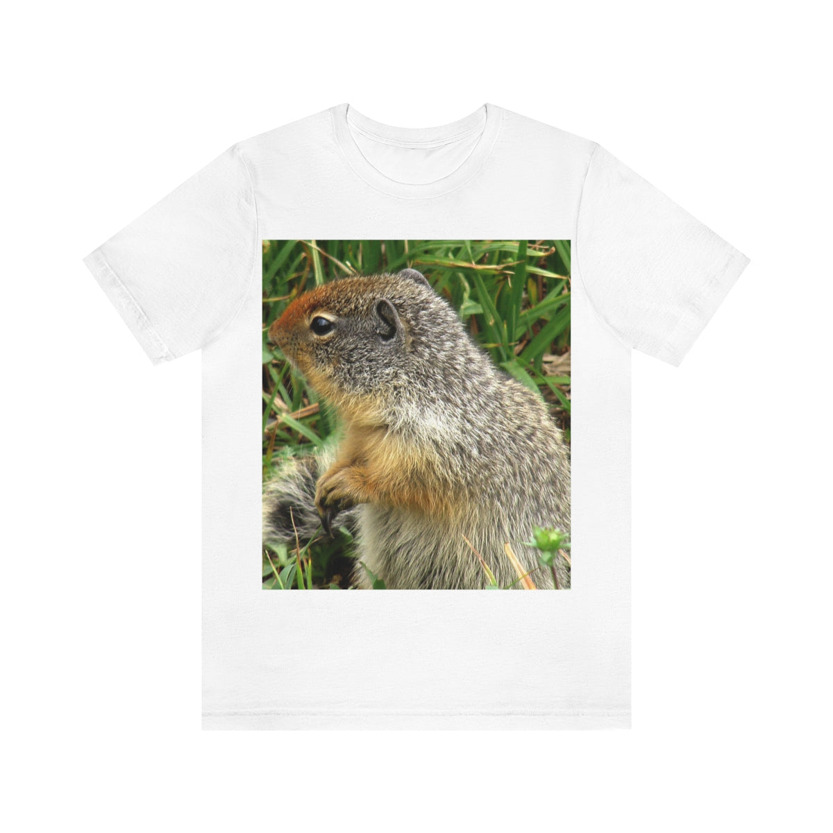 Inquisitive Stare - Unisex Jersey Short Sleeve T-Shirt - Fry1Productions