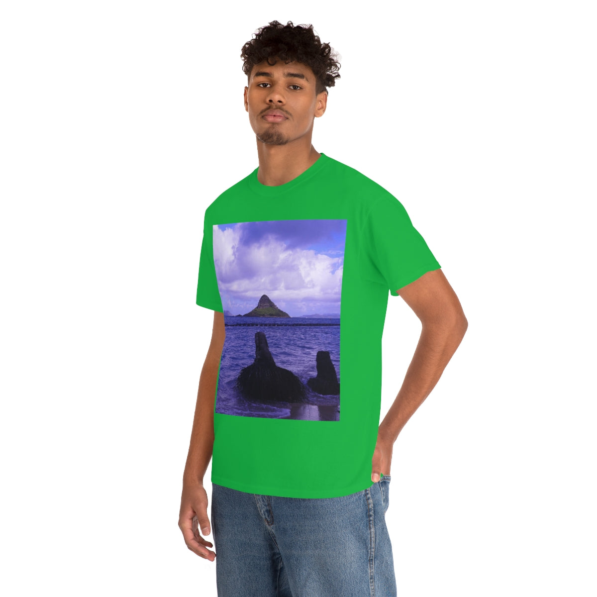 Wade To Chinaman's Hat - Unisex Heavy Cotton Tee - Fry1Productions