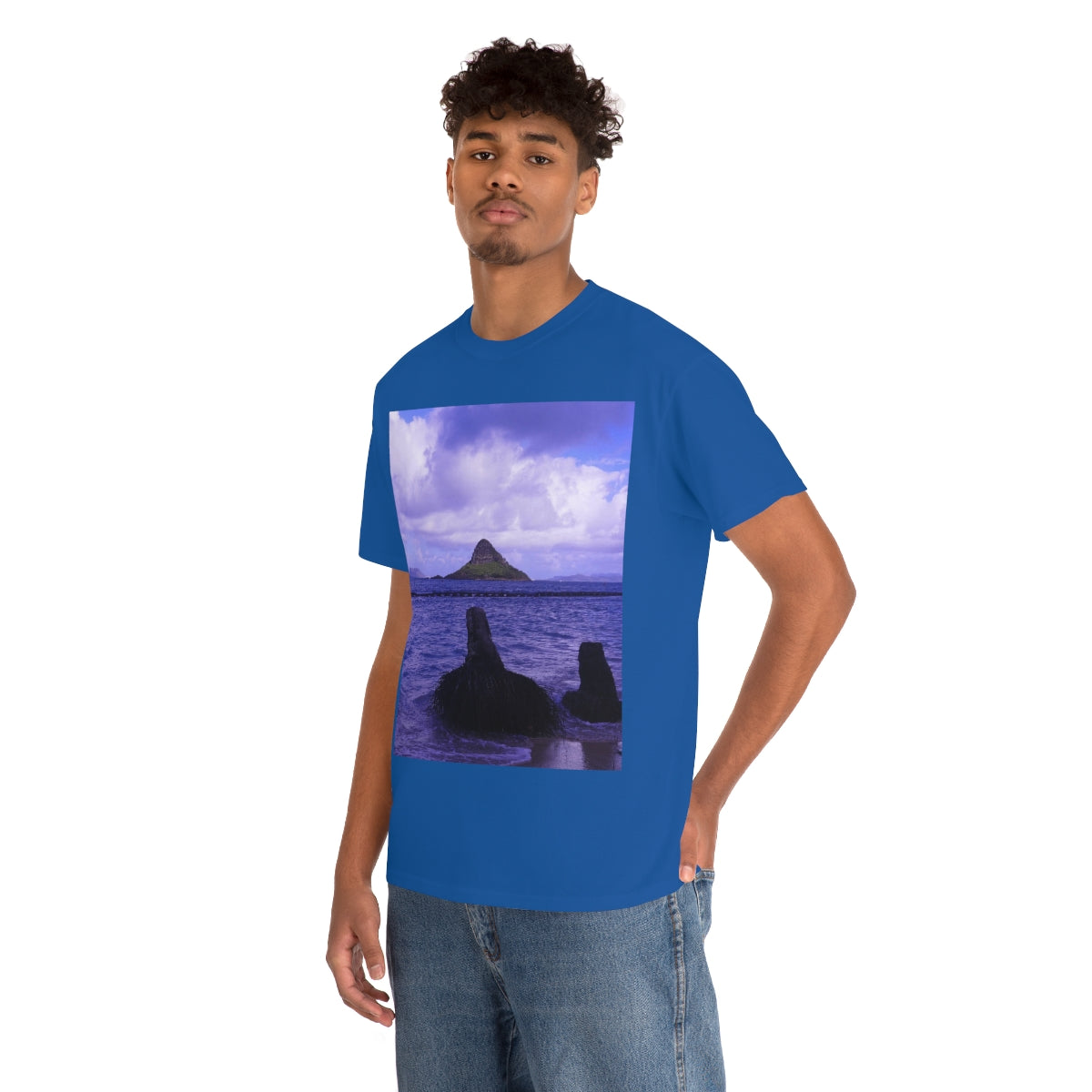 Wade To Chinaman's Hat - Unisex Heavy Cotton Tee - Fry1Productions