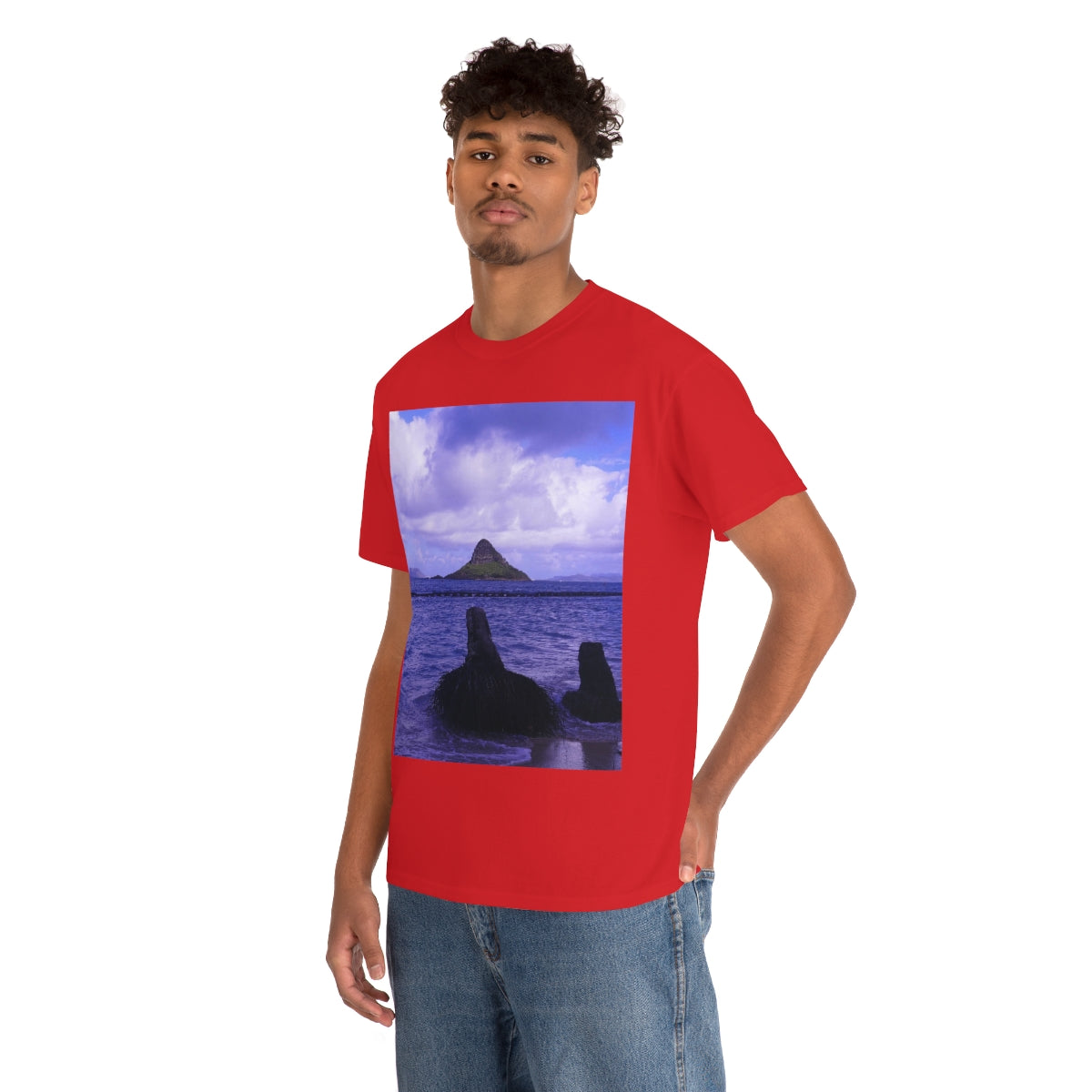 Wade To Chinaman's Hat - Unisex Heavy Cotton Tee - Fry1Productions