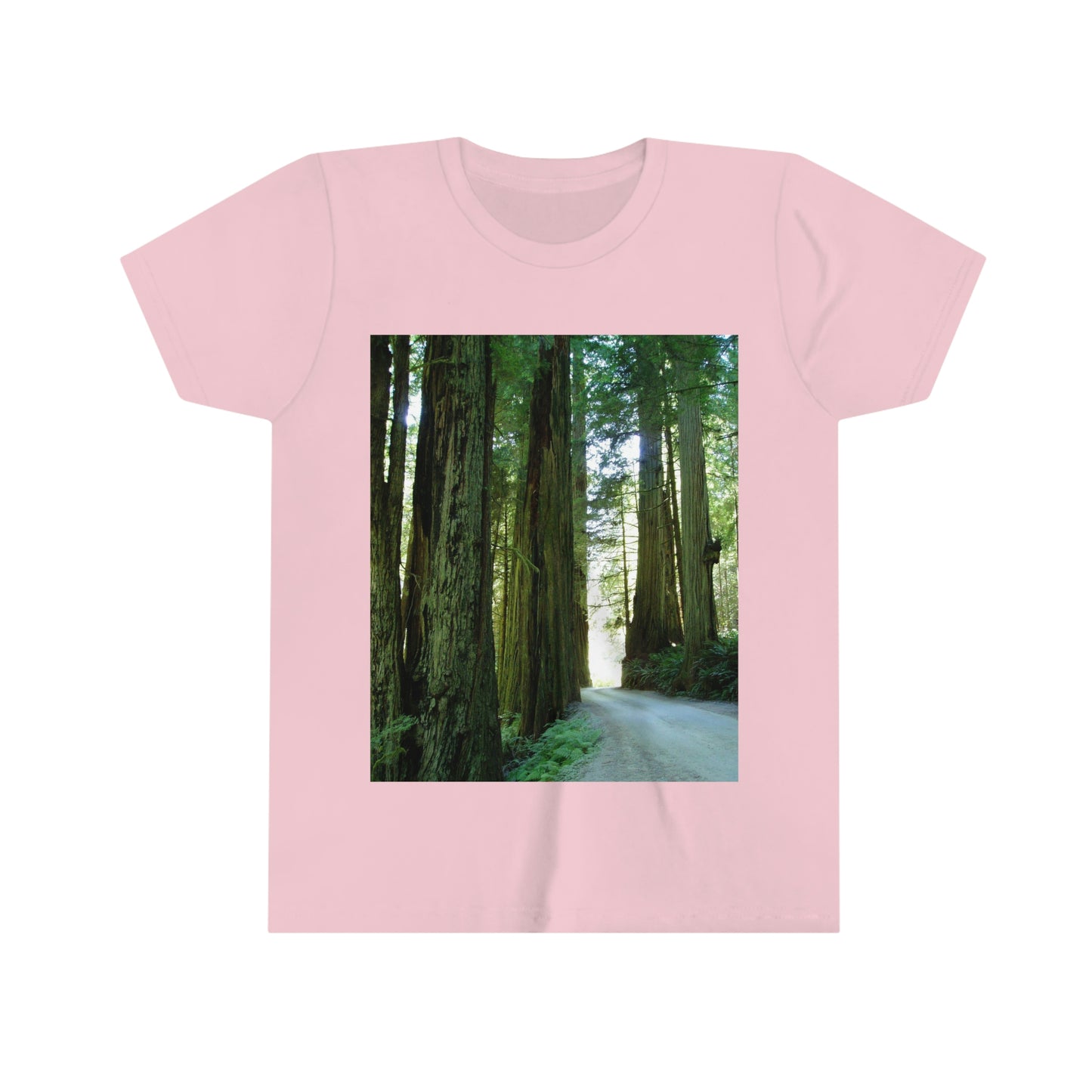 Wandering Ferns and Giants - Youth Short Sleeve Tee - Fry1Productions