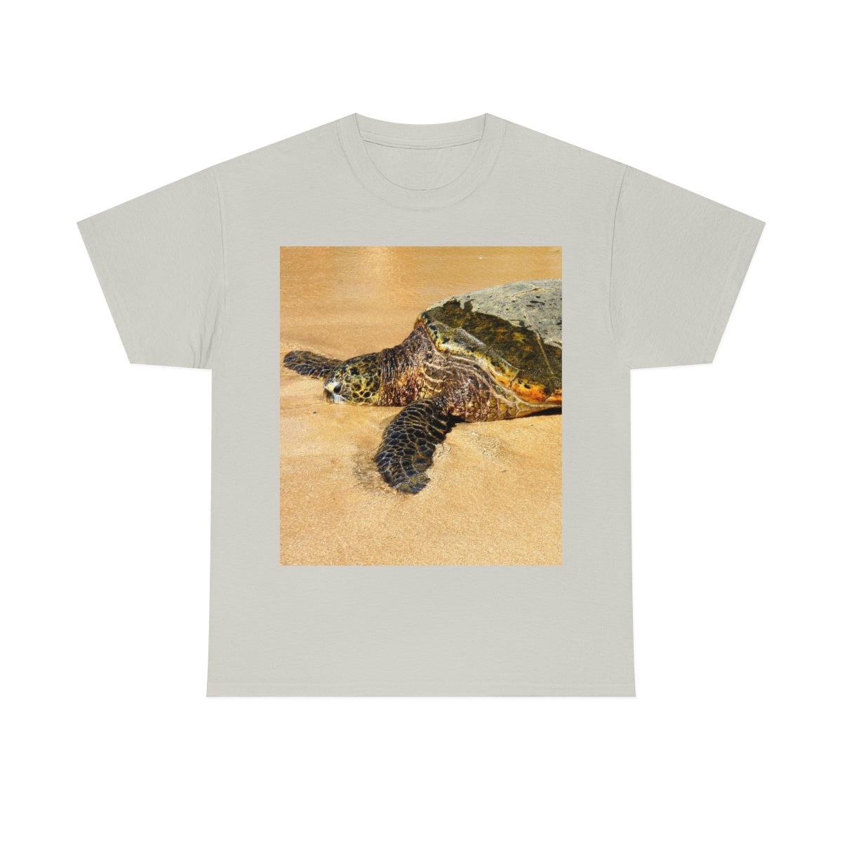 Glistening Journey - Unisex Heavy Cotton Tee - Fry1Productions