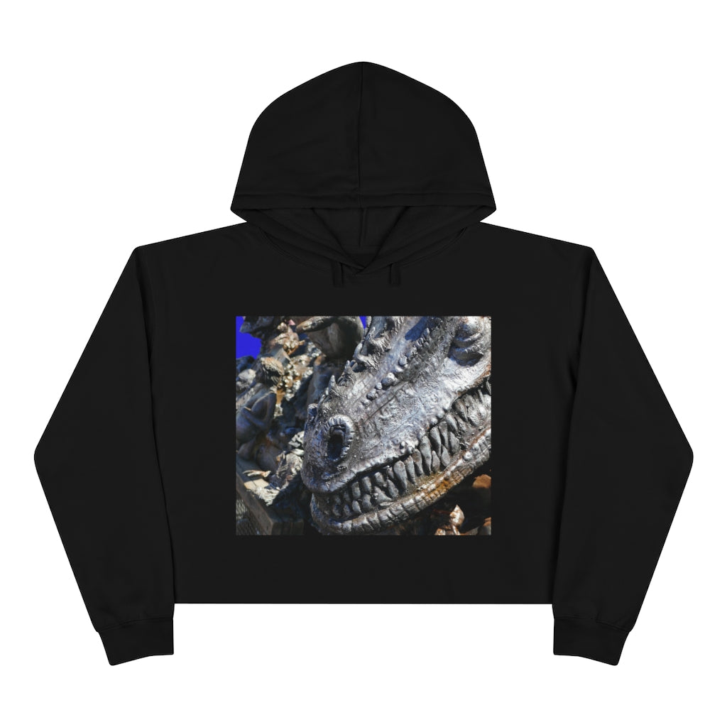 Delectable Vision - Crop Hoodie - Fry1Productions