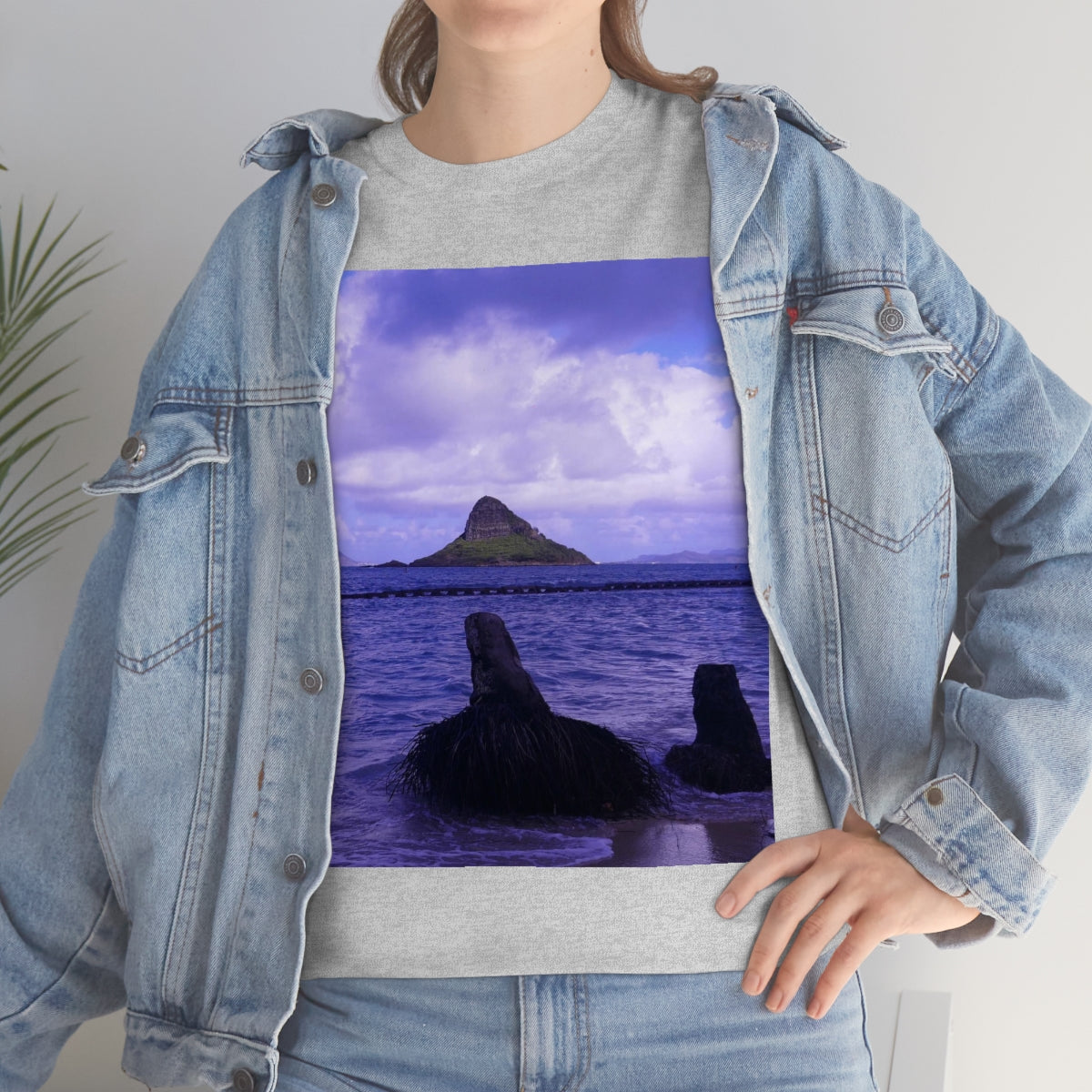 Wade To Chinaman's Hat - Unisex Heavy Cotton Tee - Fry1Productions