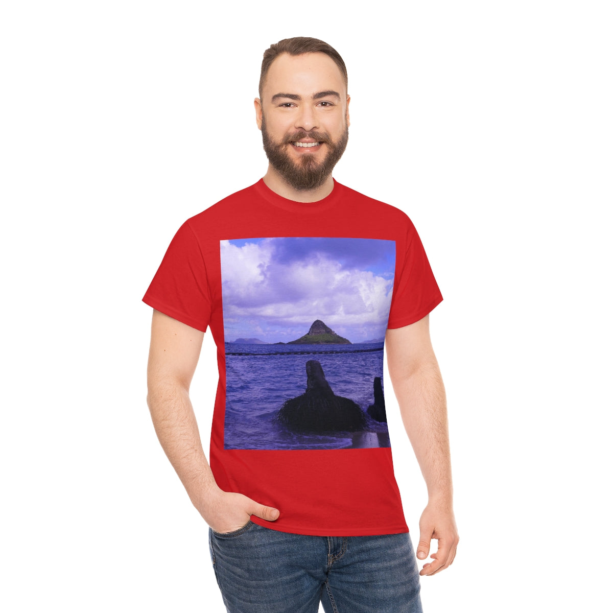 Wade To Chinaman's Hat - Unisex Heavy Cotton Tee - Fry1Productions