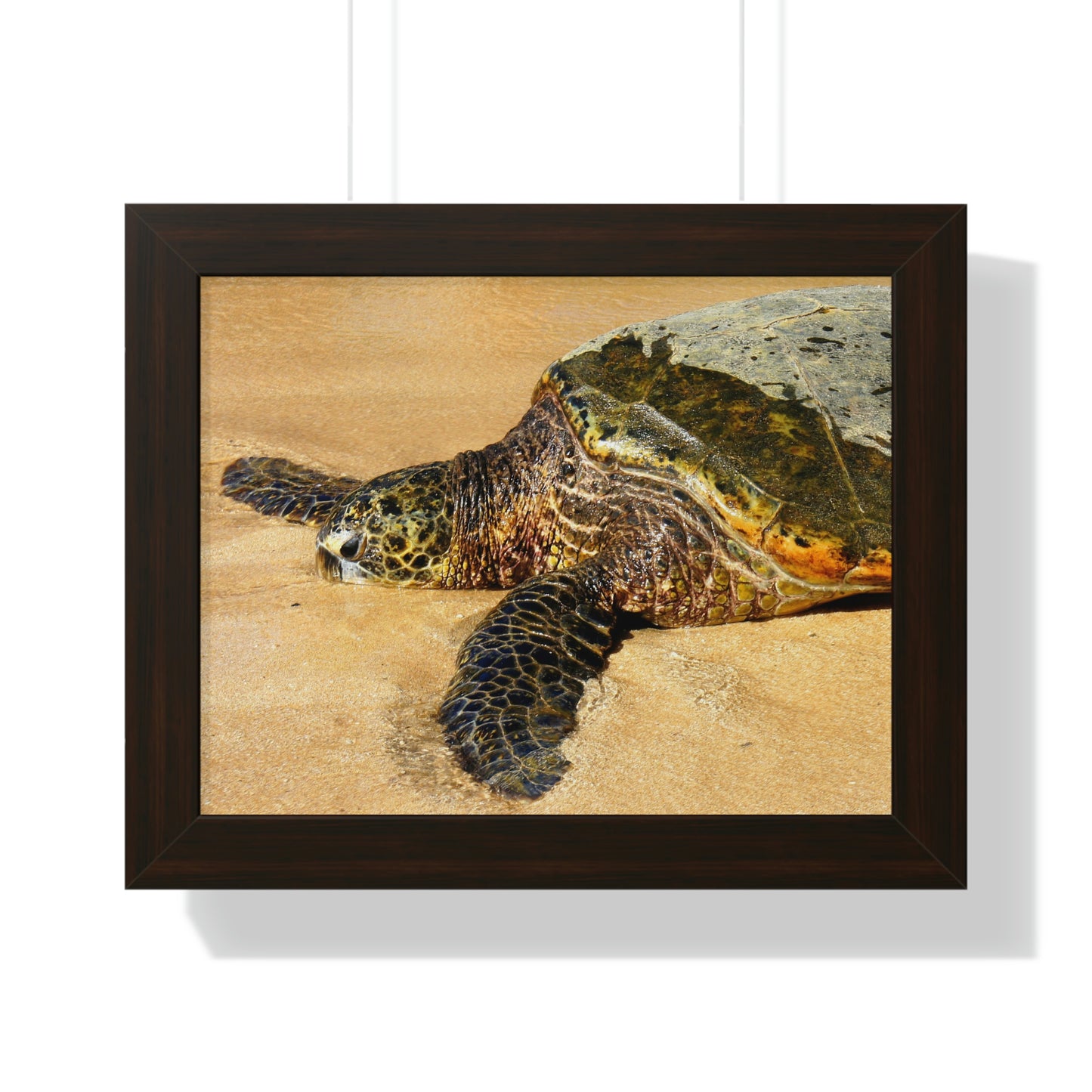 Glistening Journey - Framed Horizontal Poster - Fry1Productions