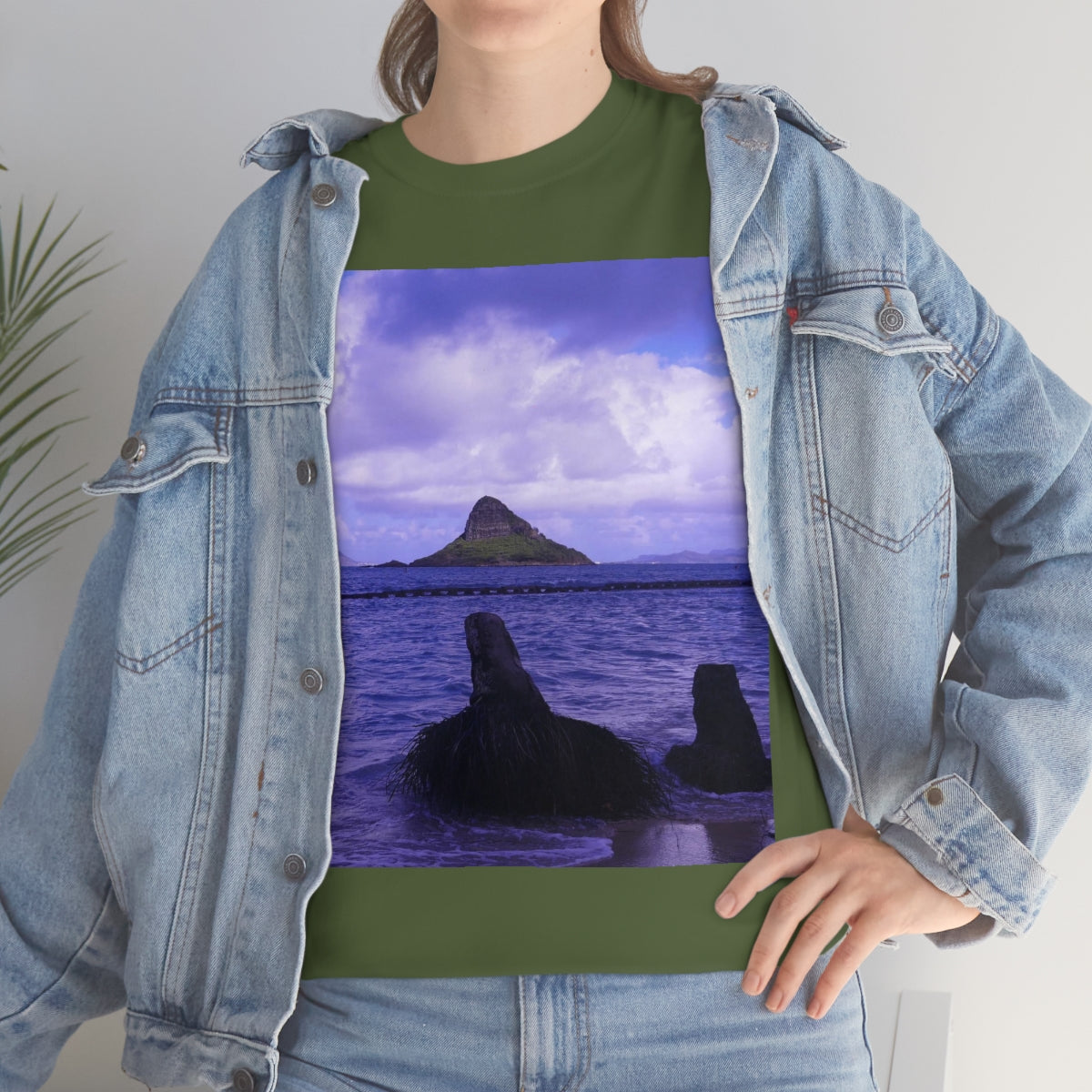 Wade To Chinaman's Hat - Unisex Heavy Cotton Tee - Fry1Productions