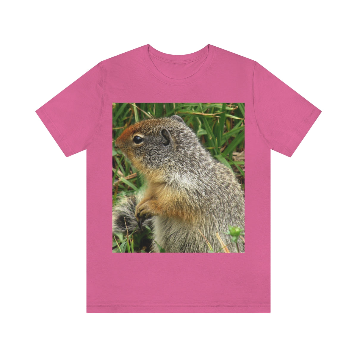 Inquisitive Stare - Unisex Jersey Short Sleeve T-Shirt - Fry1Productions