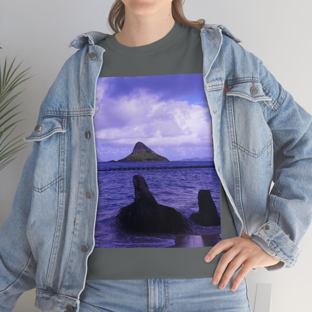 Wade To Chinaman's Hat - Unisex Heavy Cotton Tee - Fry1Productions