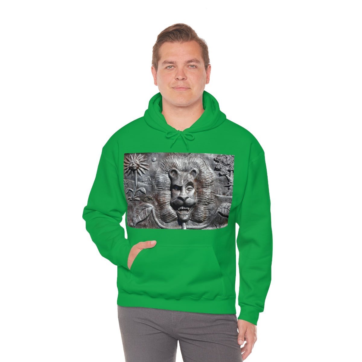 Lion's Friends Forever - Unisex Heavy Blend Hooded Sweatshirt - Fry1Productions