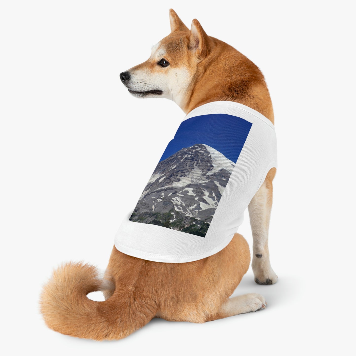 Majestic Mt. Rainier - Pet Tank Top - Fry1Productions