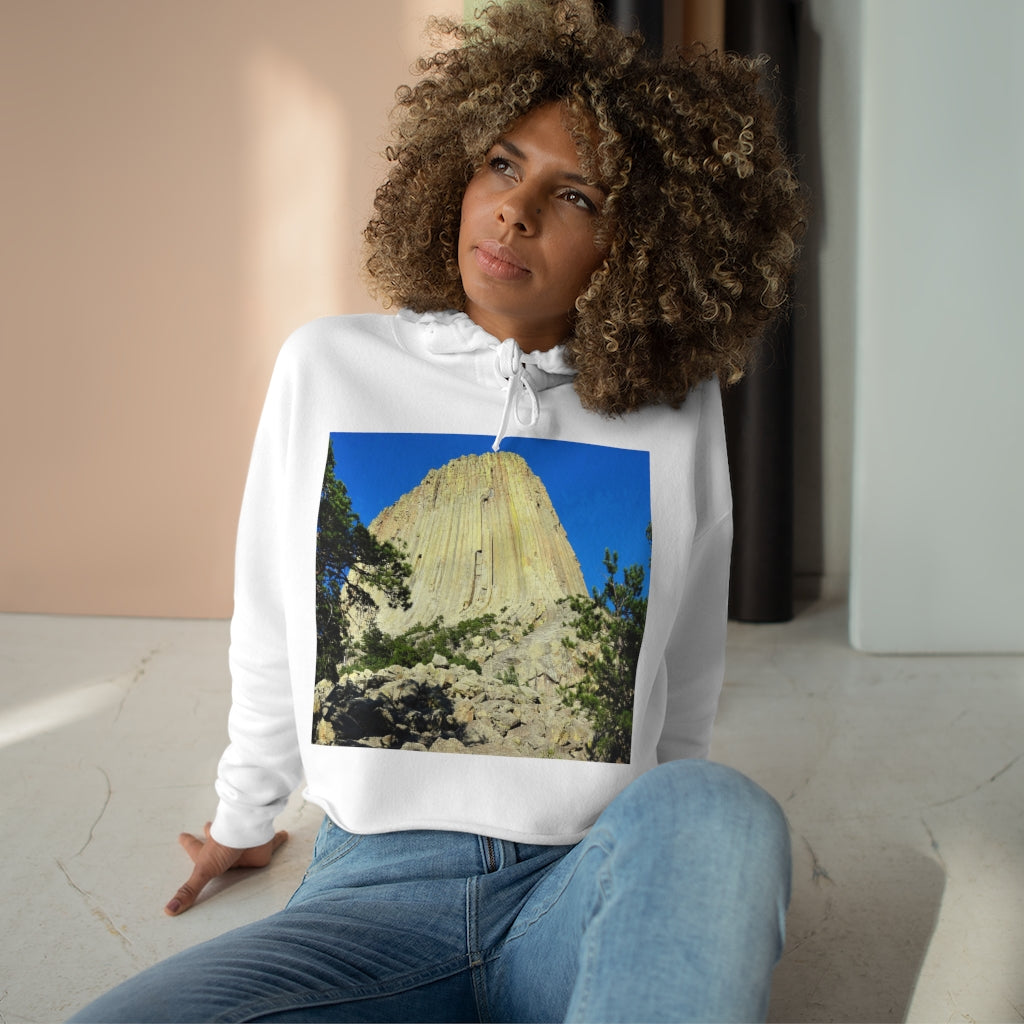 Reaching Heaven - Crop Hoodie - Fry1Productions