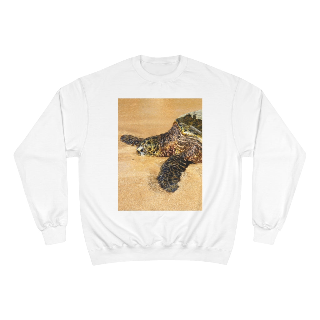 Glistening Journey - Champion Sweatshirt - Fry1Productions