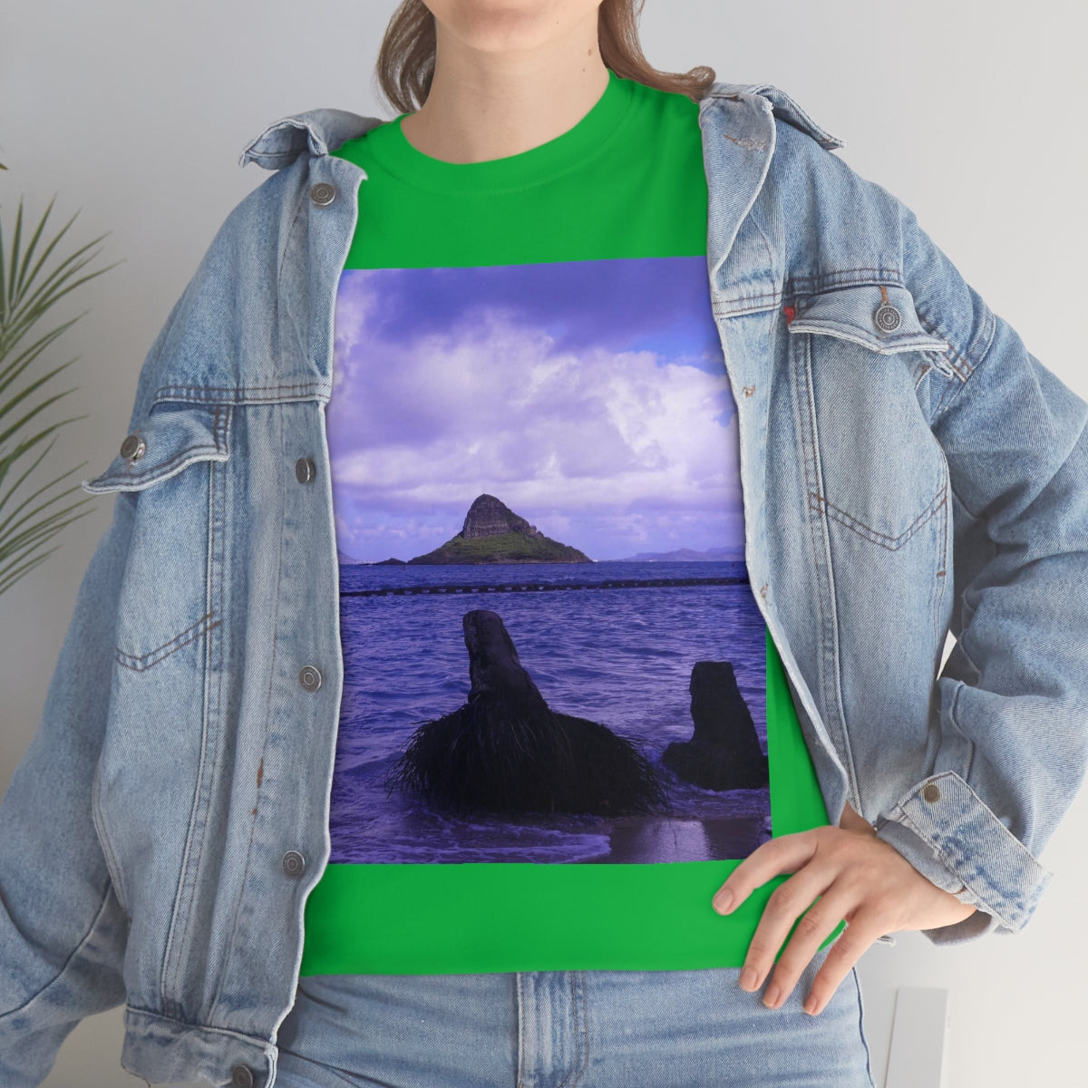 Wade To Chinaman's Hat - Unisex Heavy Cotton Tee - Fry1Productions