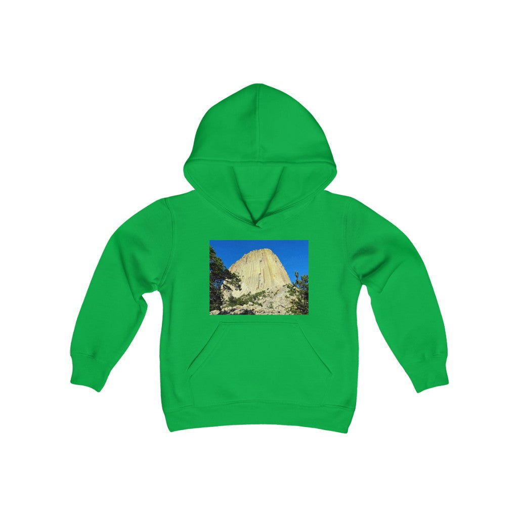 "Reaching Heaven" - Youth Heavy Blend Hooded Sweatshirt - Fry1Productions