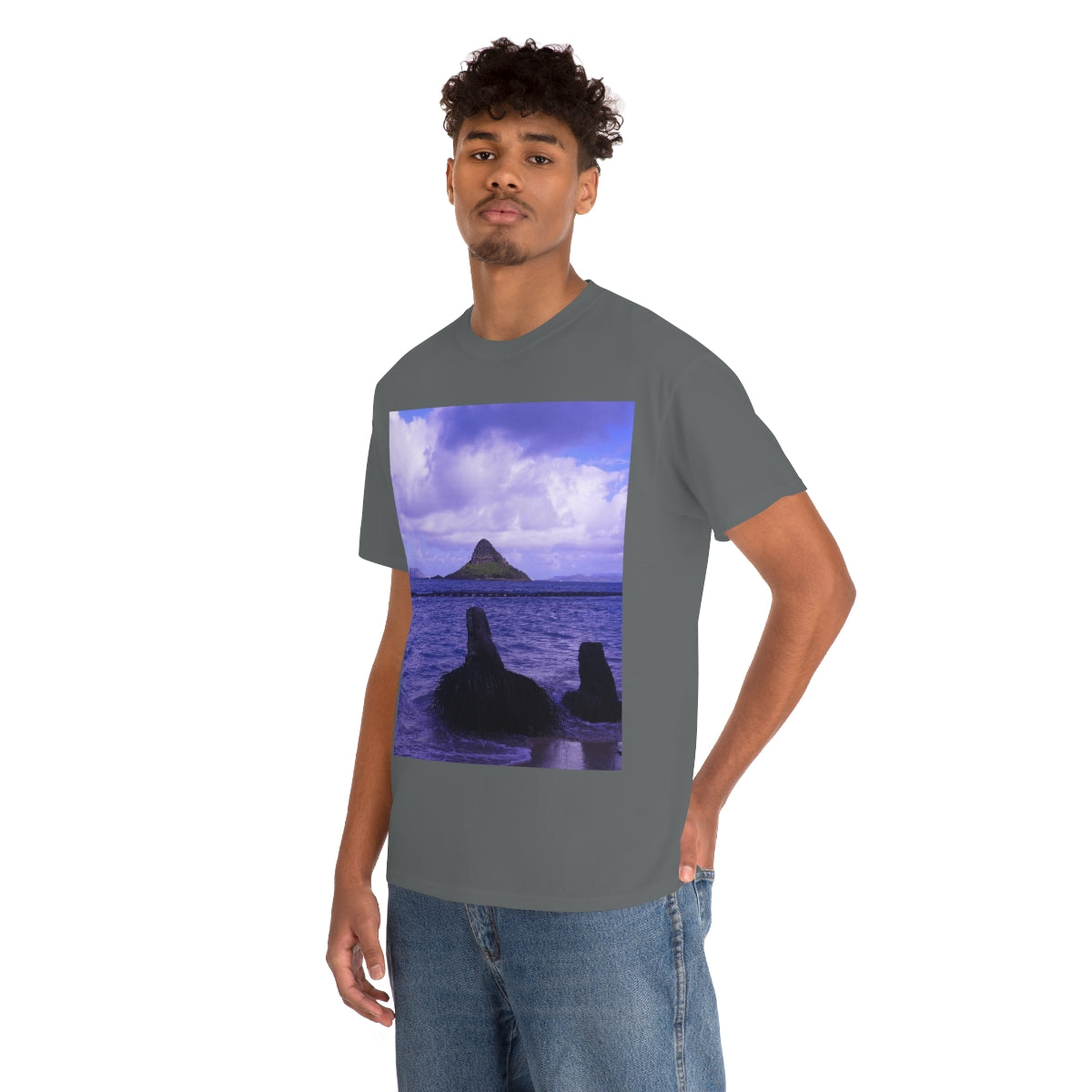 Wade To Chinaman's Hat - Unisex Heavy Cotton Tee - Fry1Productions