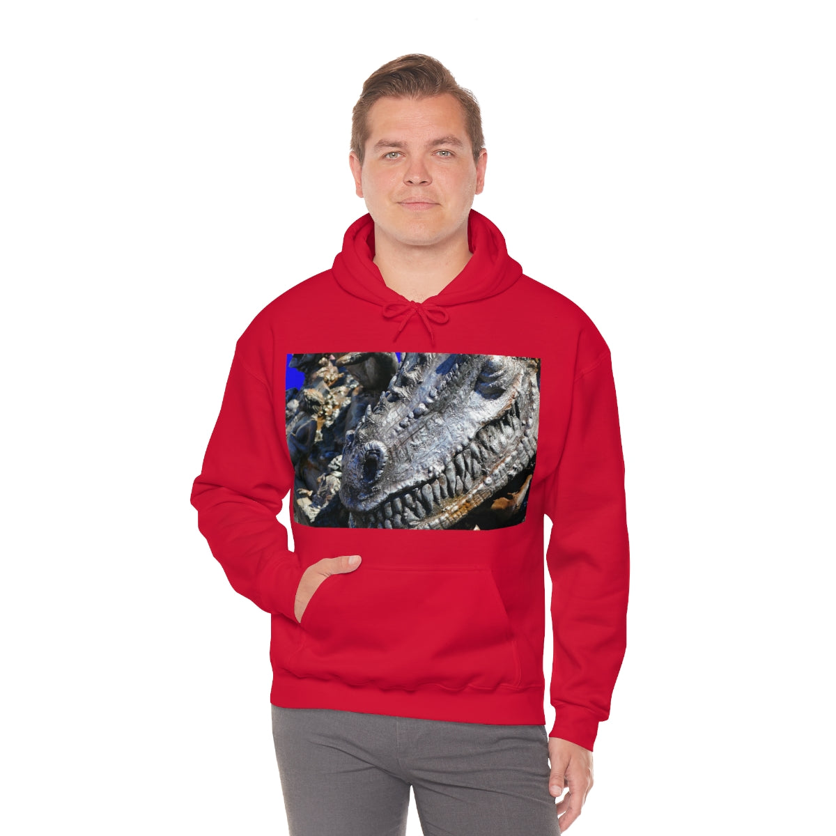 Delectable Vision - Unisex Heavy Blend Hooded Sweatshirt - Fry1Productions
